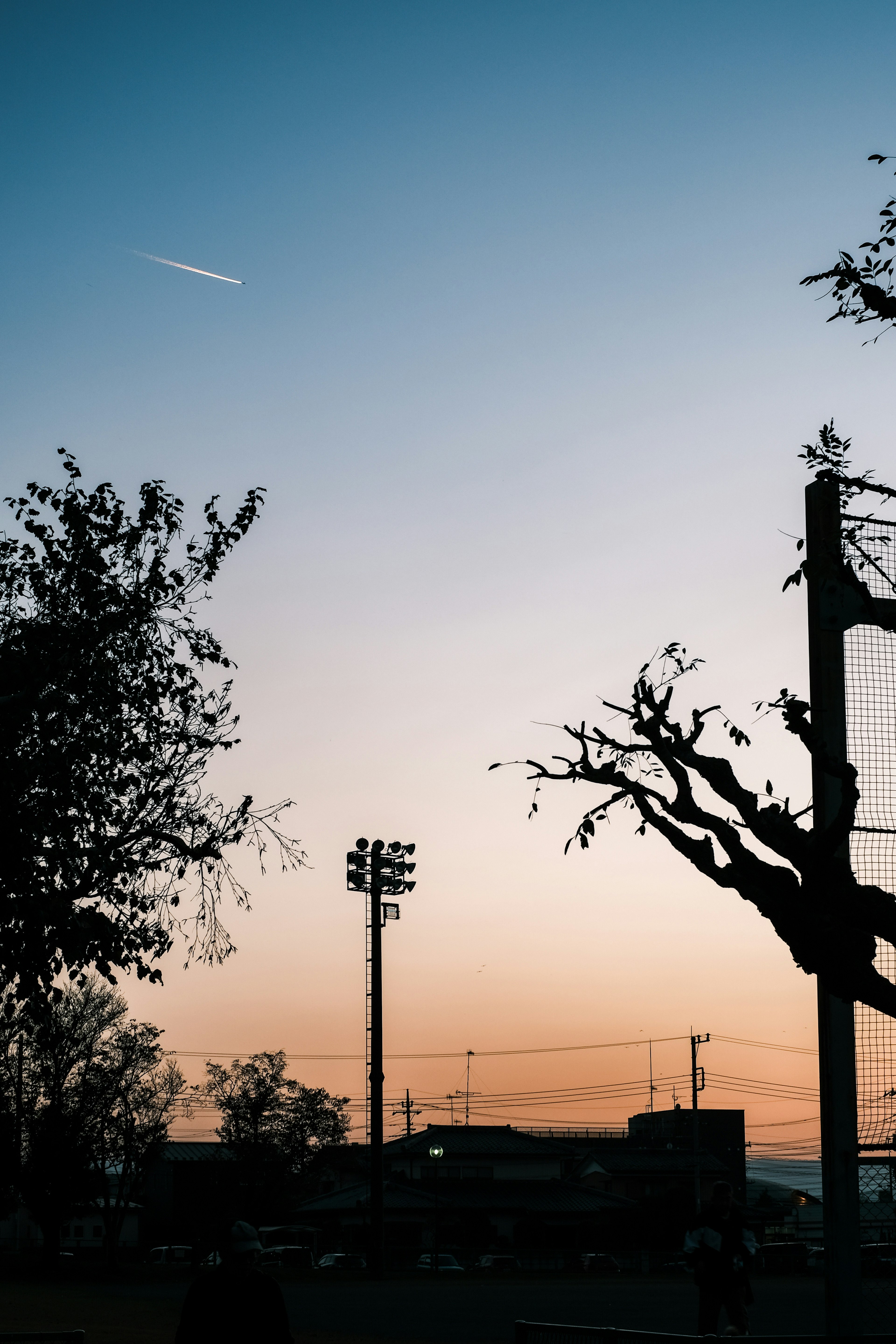 Silhouette di alberi e palo elettrico contro un cielo al tramonto