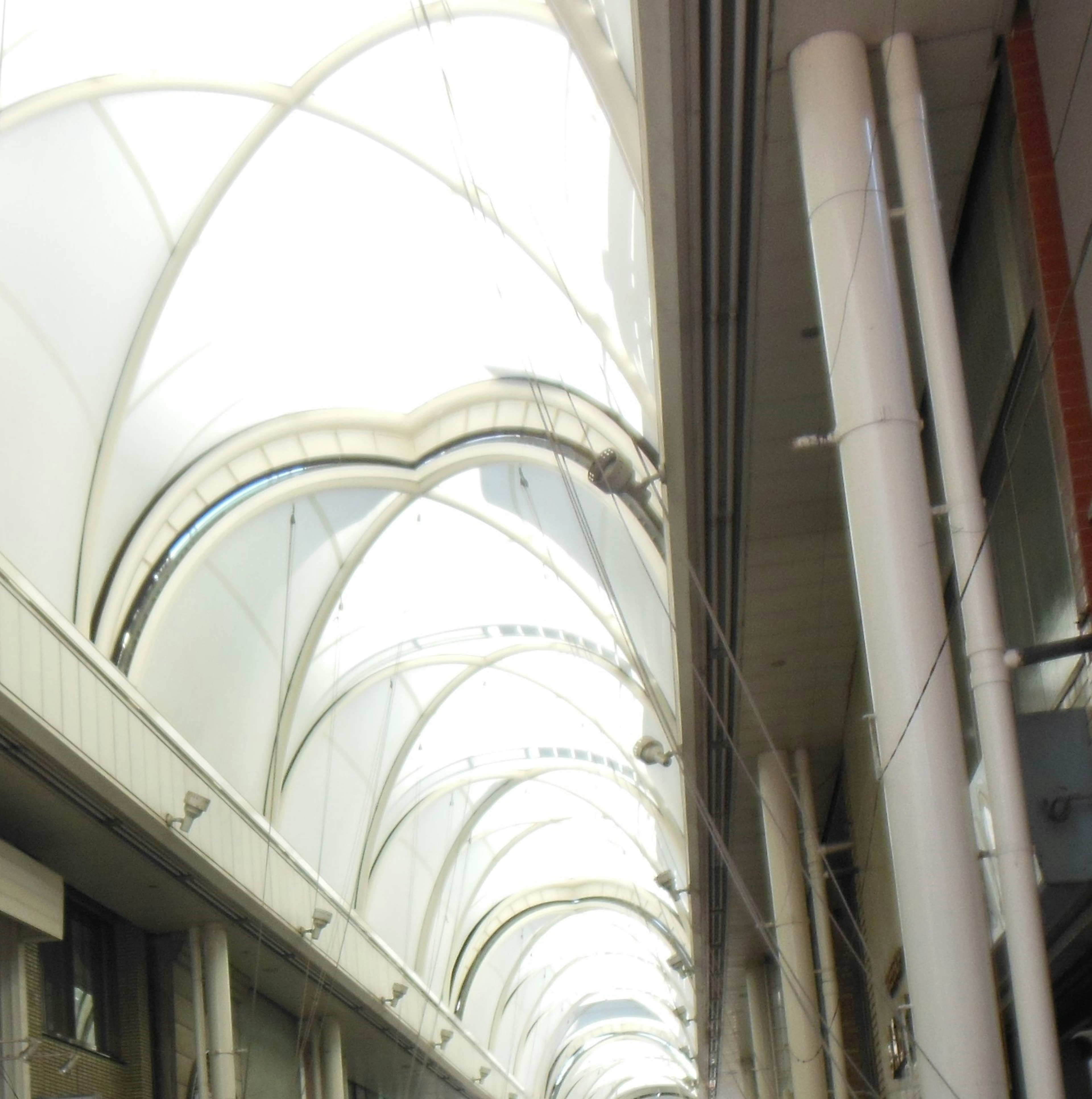 Interior of a modern building featuring a white arched ceiling