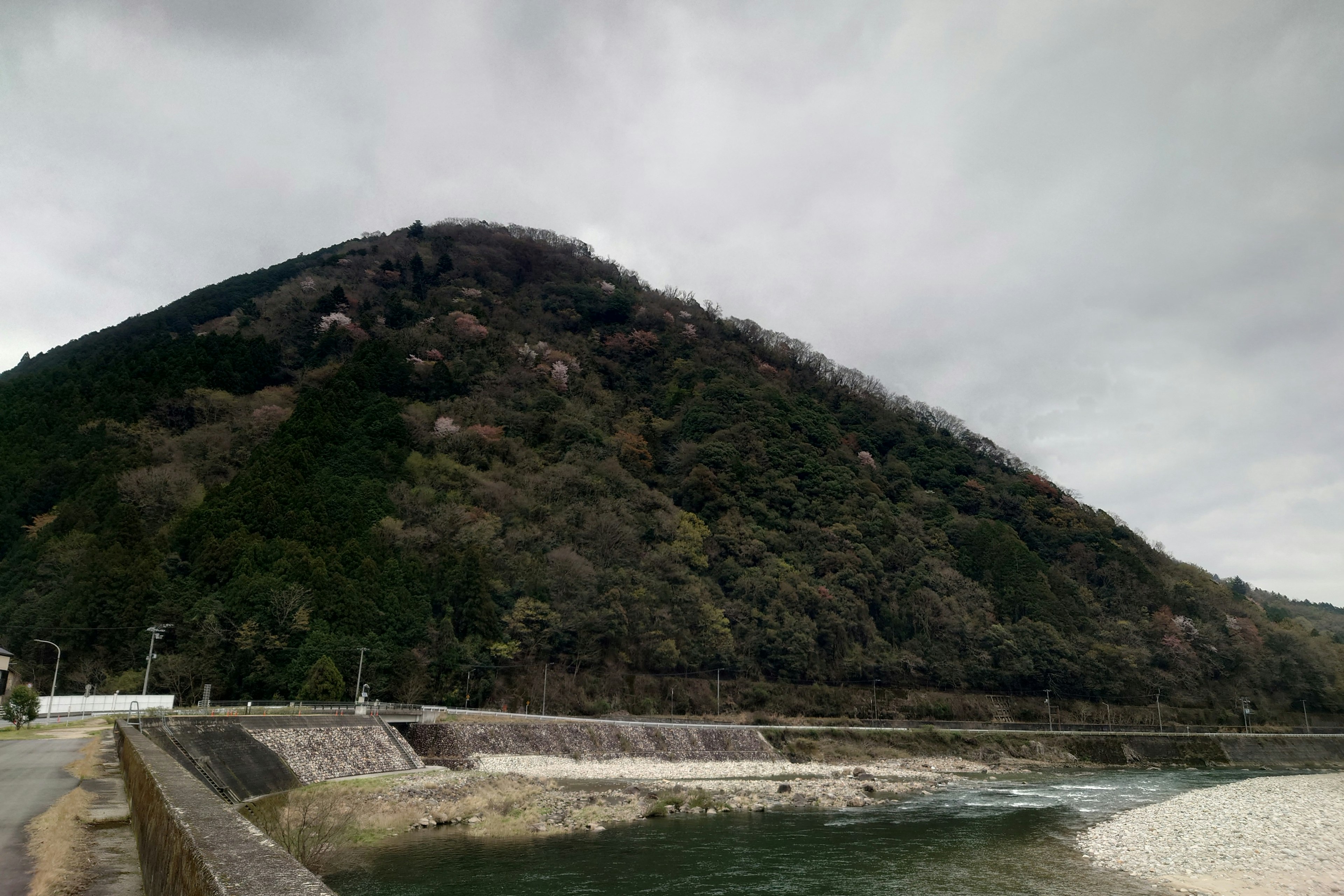 河流和山丘的風景，綠色樹木在灰色多雲的天空下