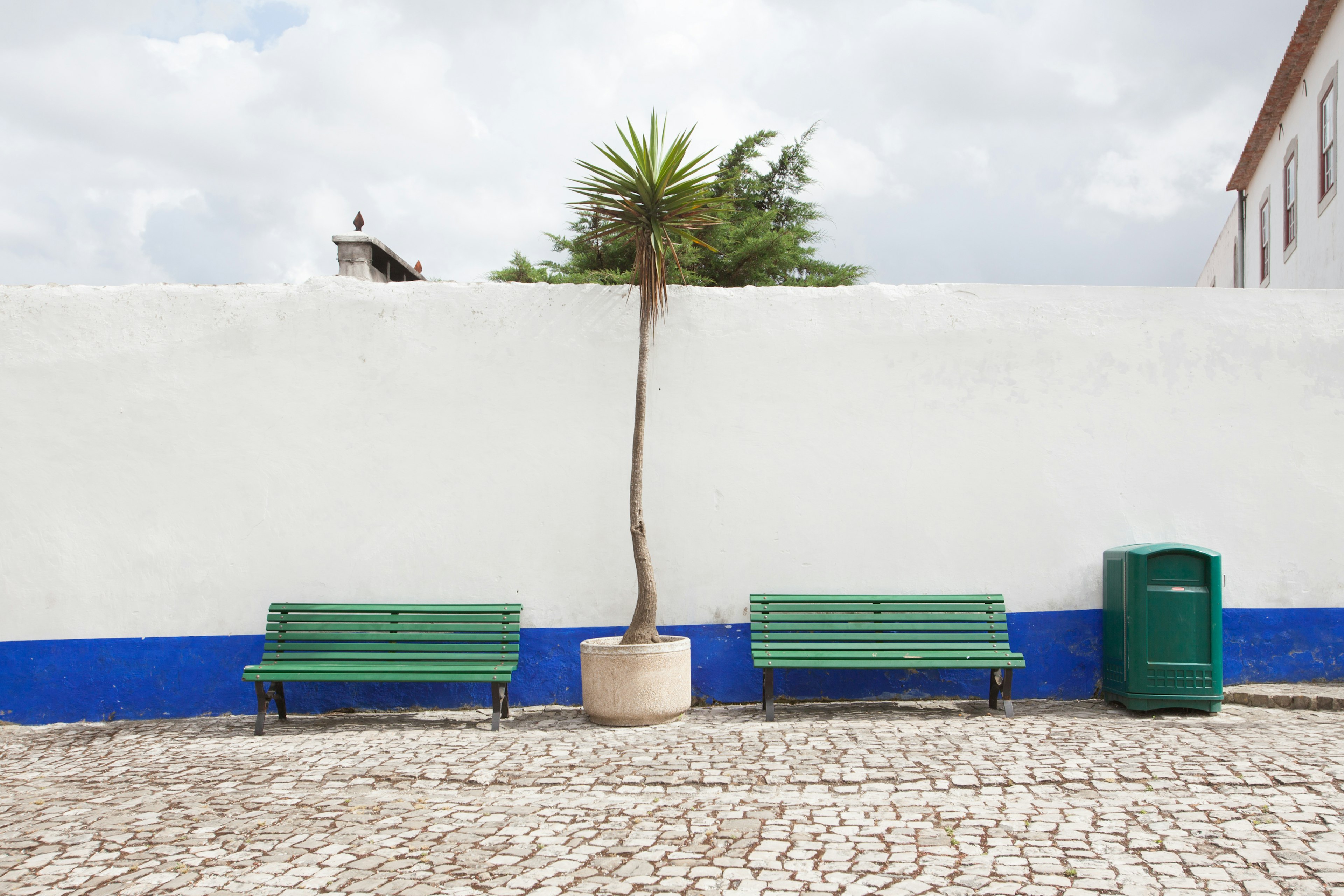 Dos bancos verdes frente a una pared blanca con una palmera en una maceta entre ellos