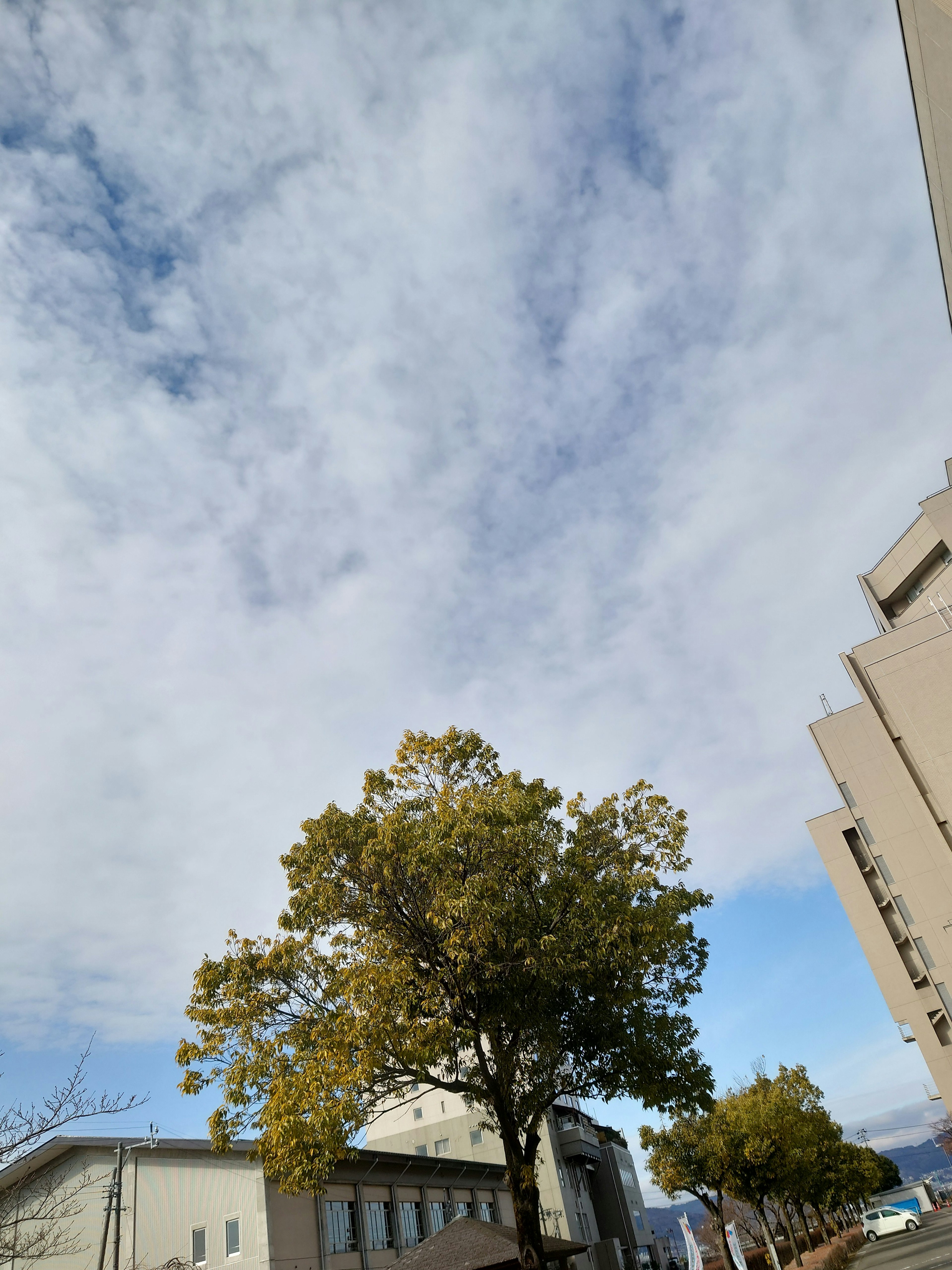 Blauer Himmel mit verstreuten Wolken und Herbstbäumen