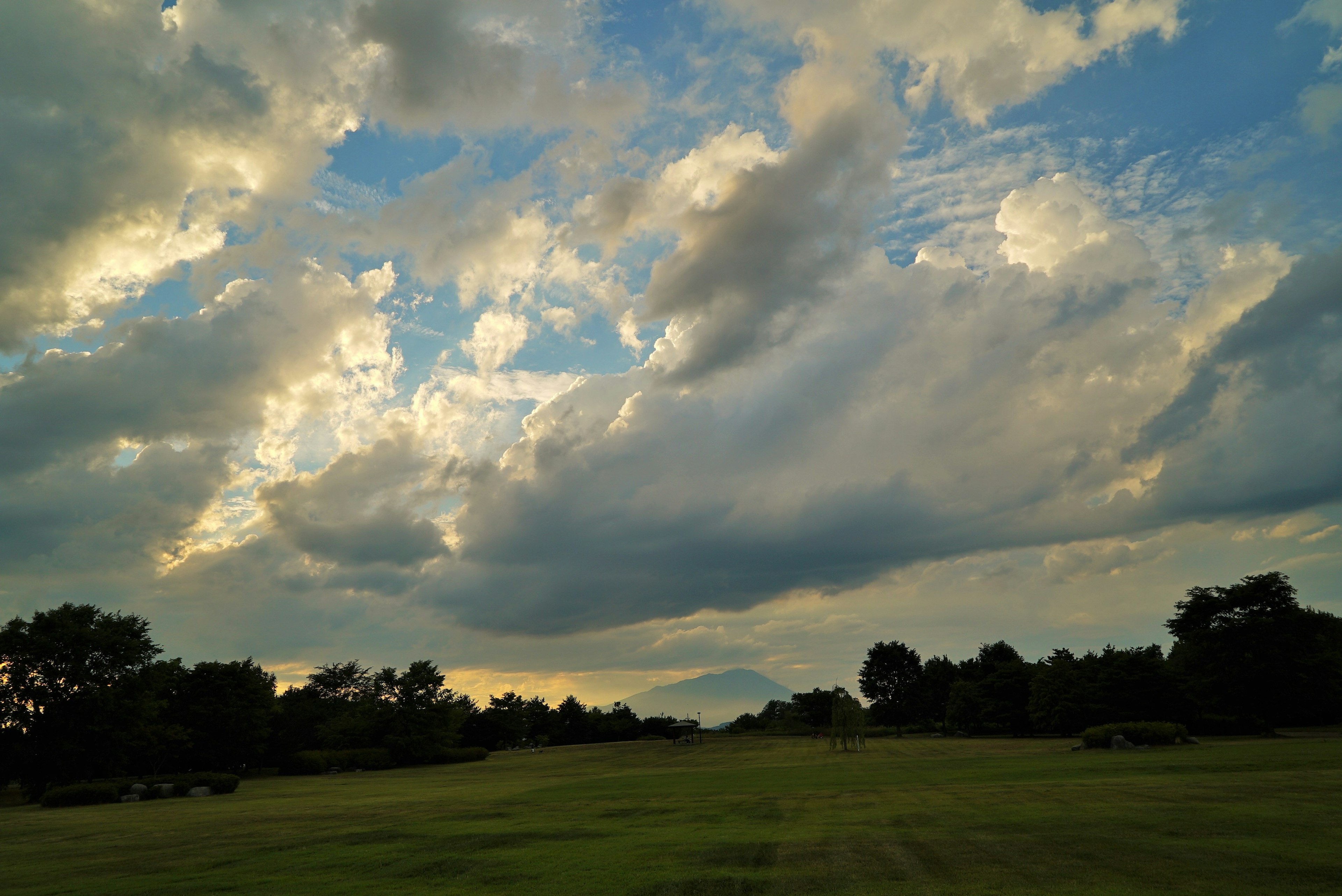 Ampio paesaggio con cielo blu e nuvole campo erboso