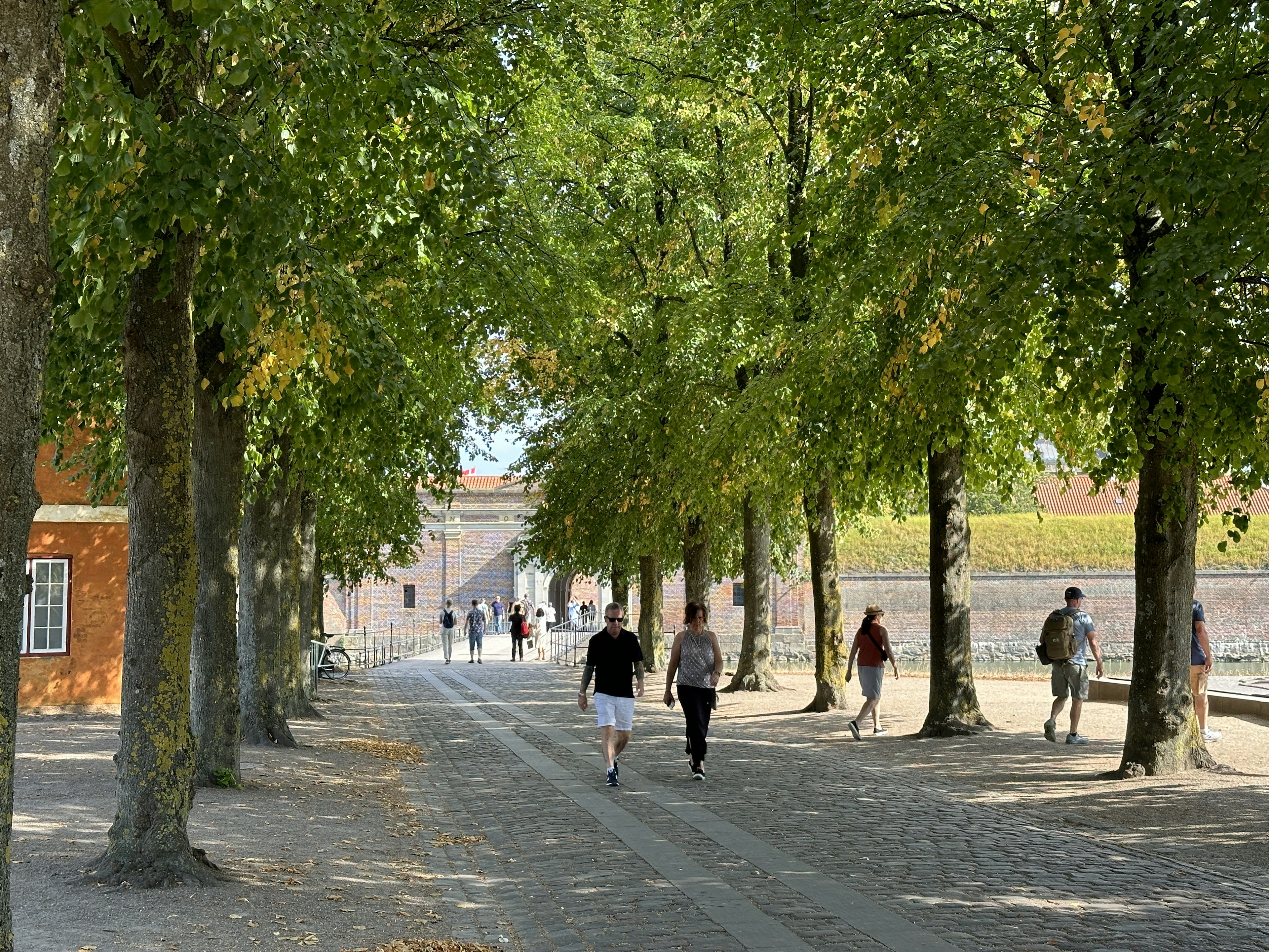 Menschen gehen einen von Bäumen gesäumten Weg entlang mit einem roten Gebäude im Hintergrund