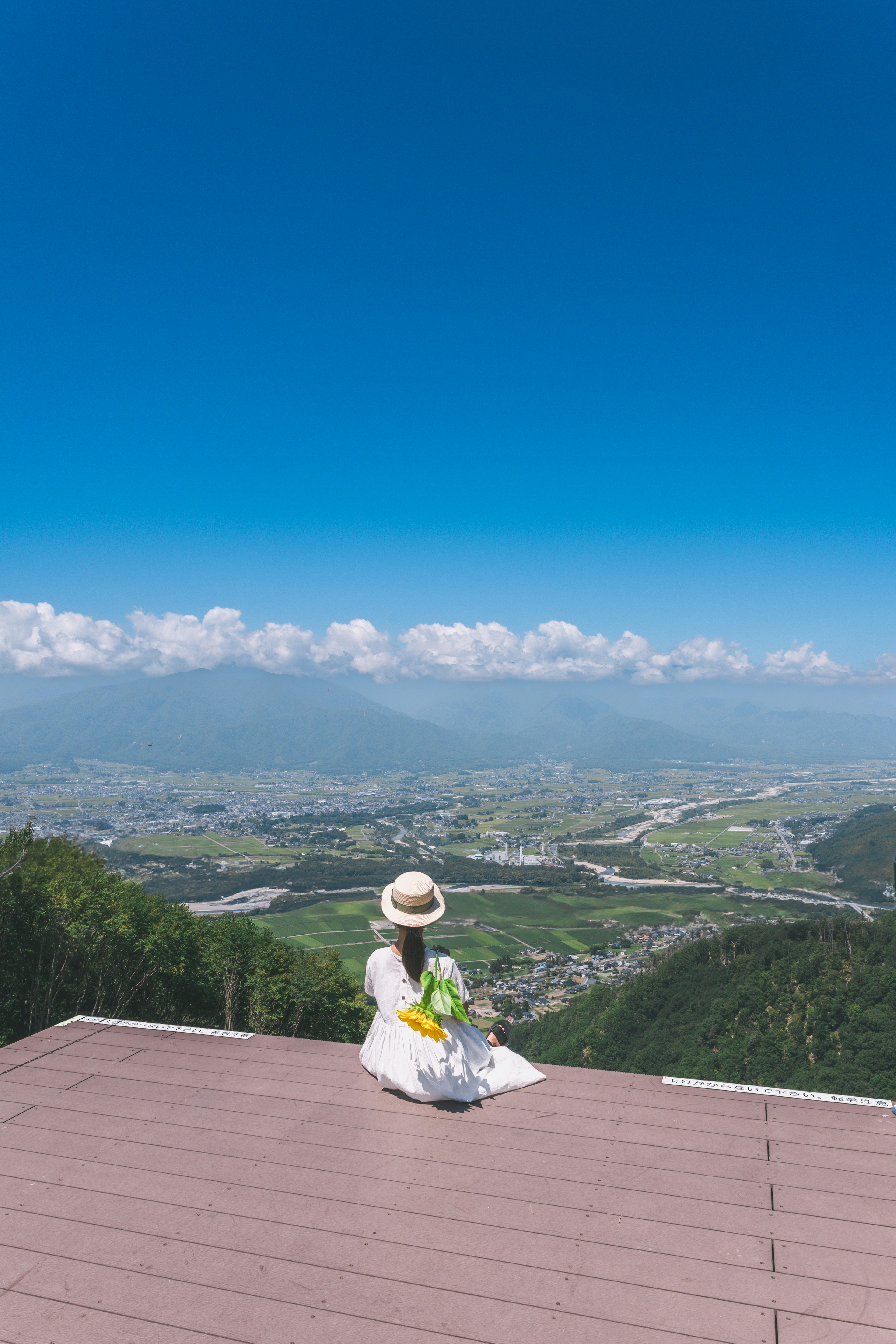 青空の下で白いドレスを着た女性が座っている風景