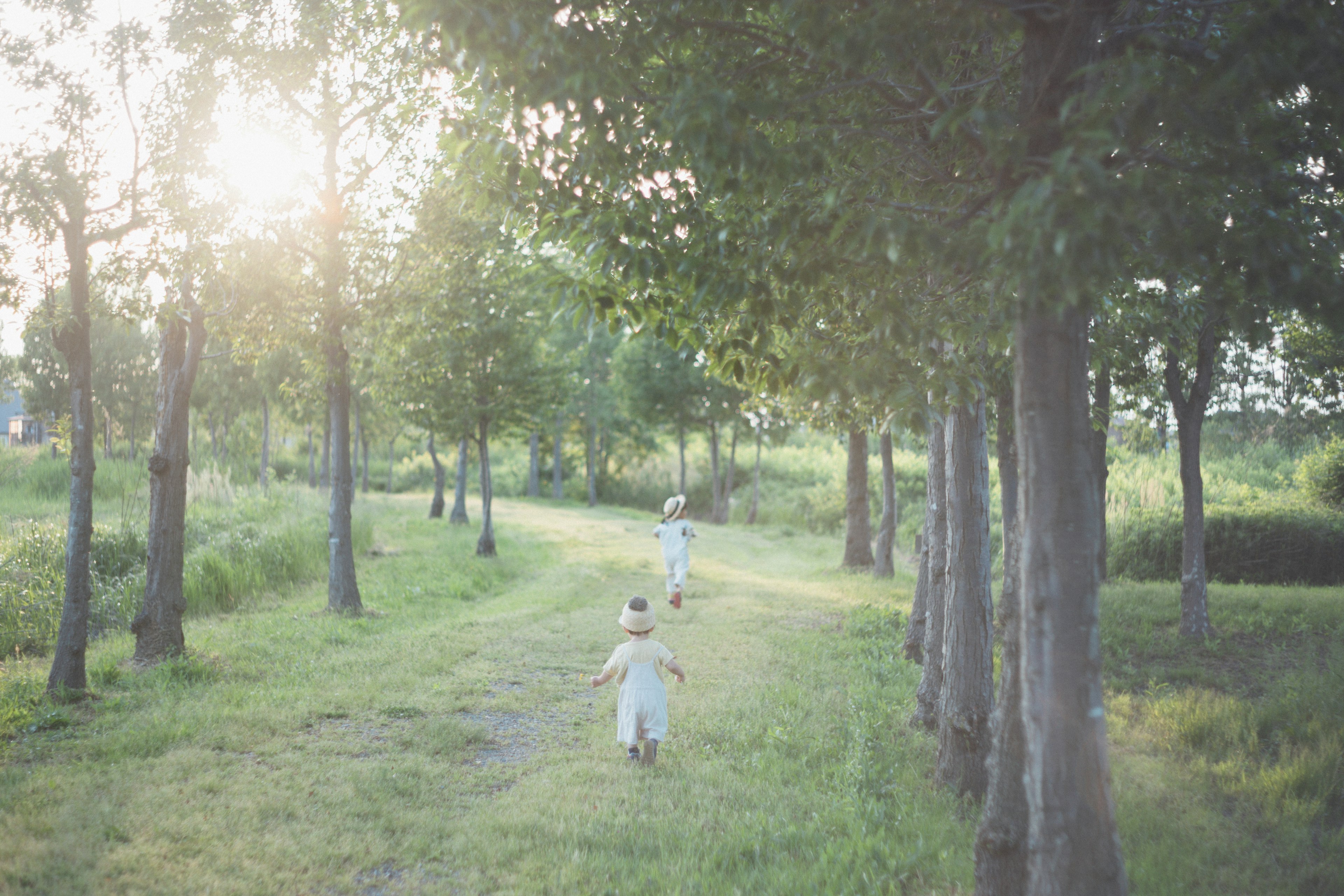 Enfants courant le long d'un chemin verdoyant avec la lumière du soleil filtrant à travers les arbres