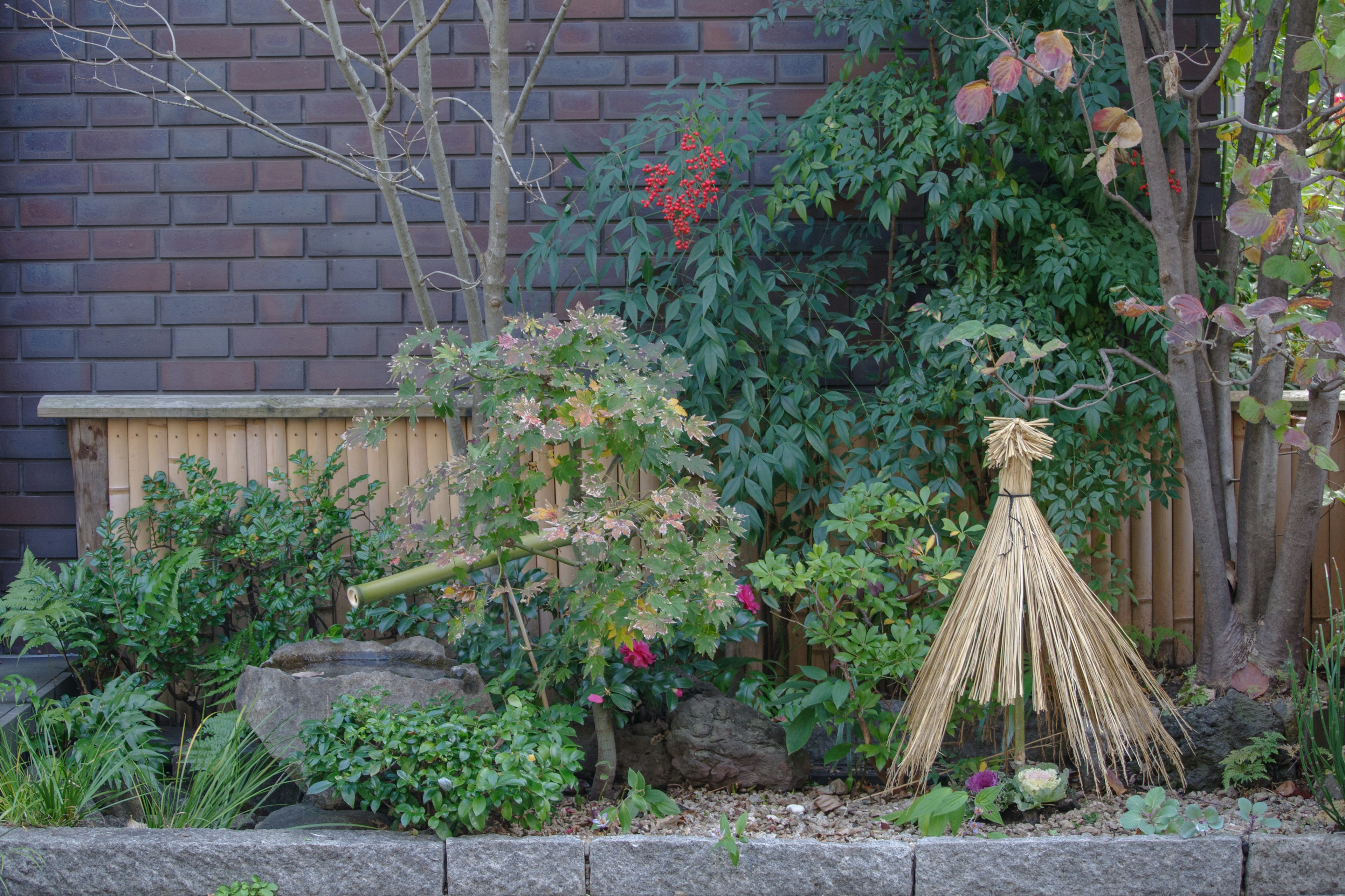 Lush garden featuring a bamboo fence rocks and various plants including small trees