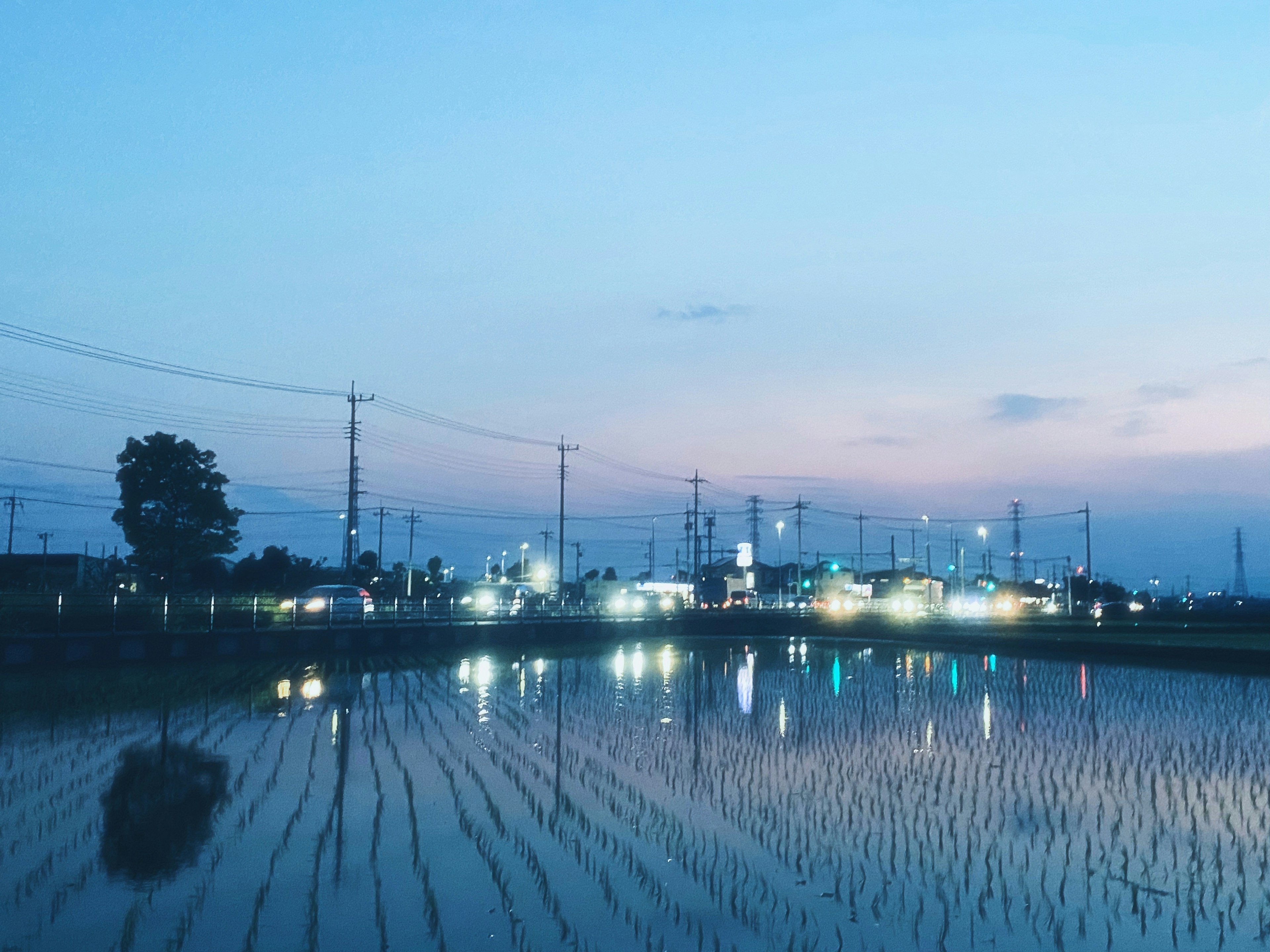 Vista escénica de campos de arroz al atardecer reflejando las luces de la ciudad