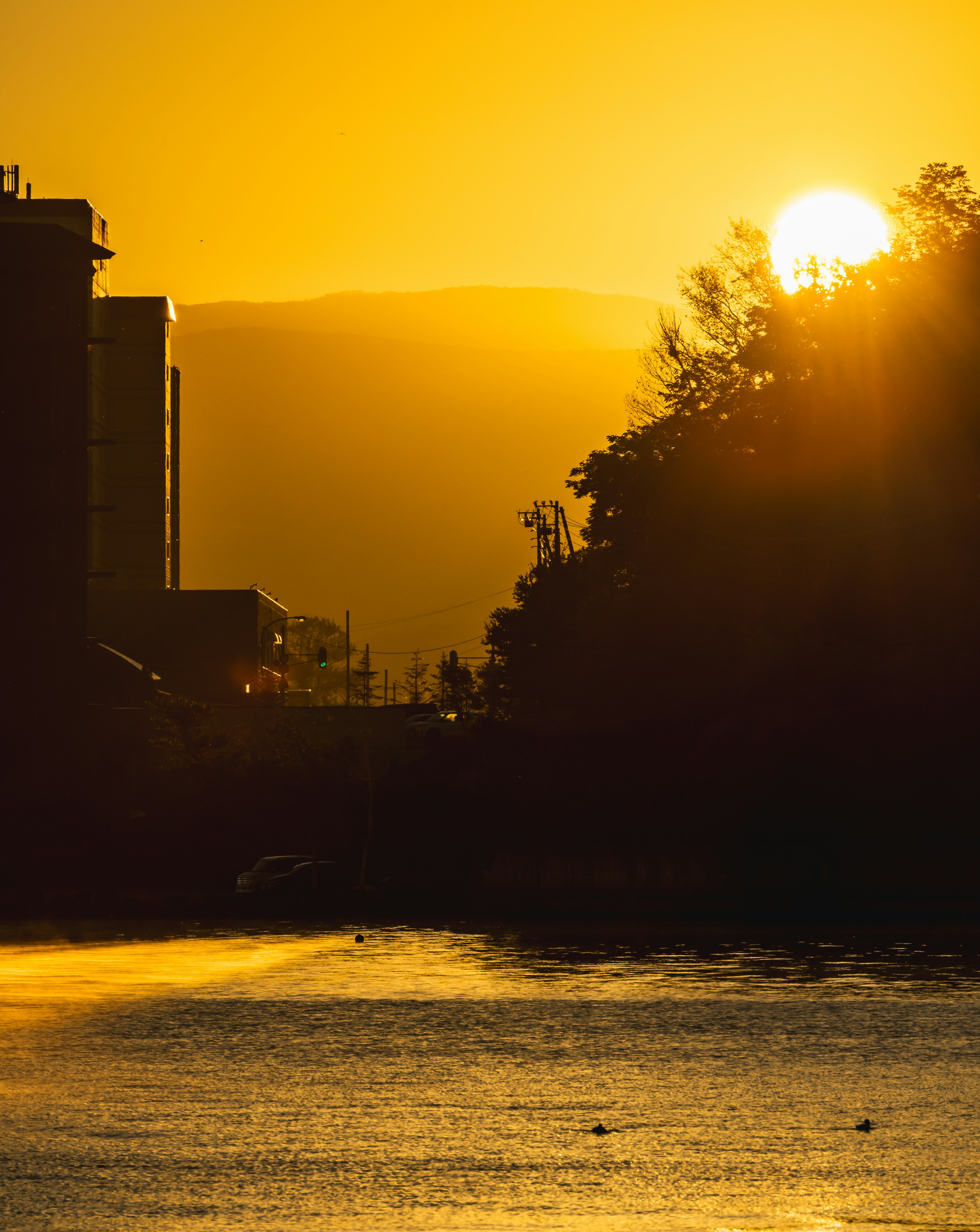 Silhouette de bâtiments au coucher de soleil sur la rivière