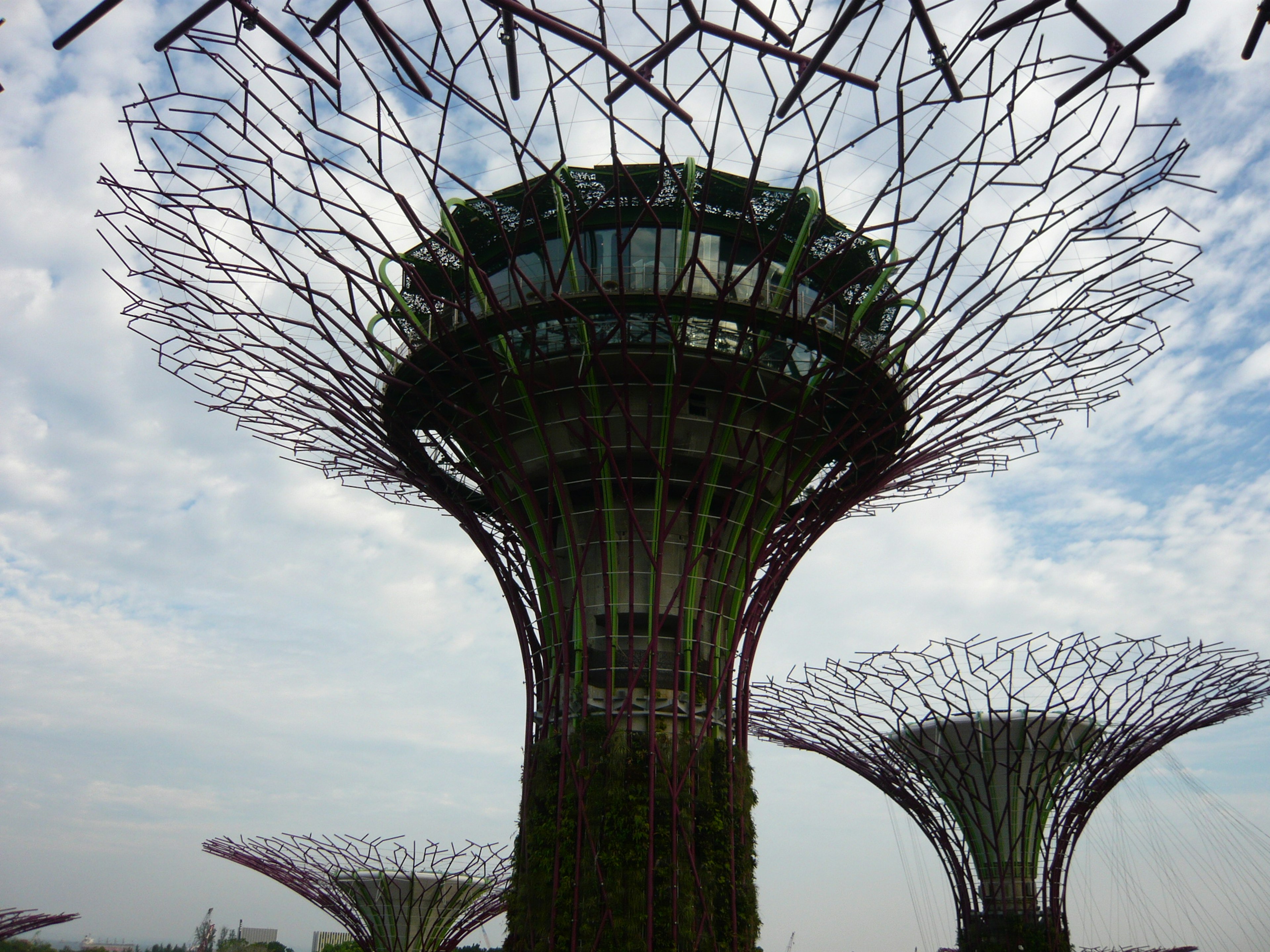 Close-up of the SuperTree structures at Gardens by the Bay in Singapore