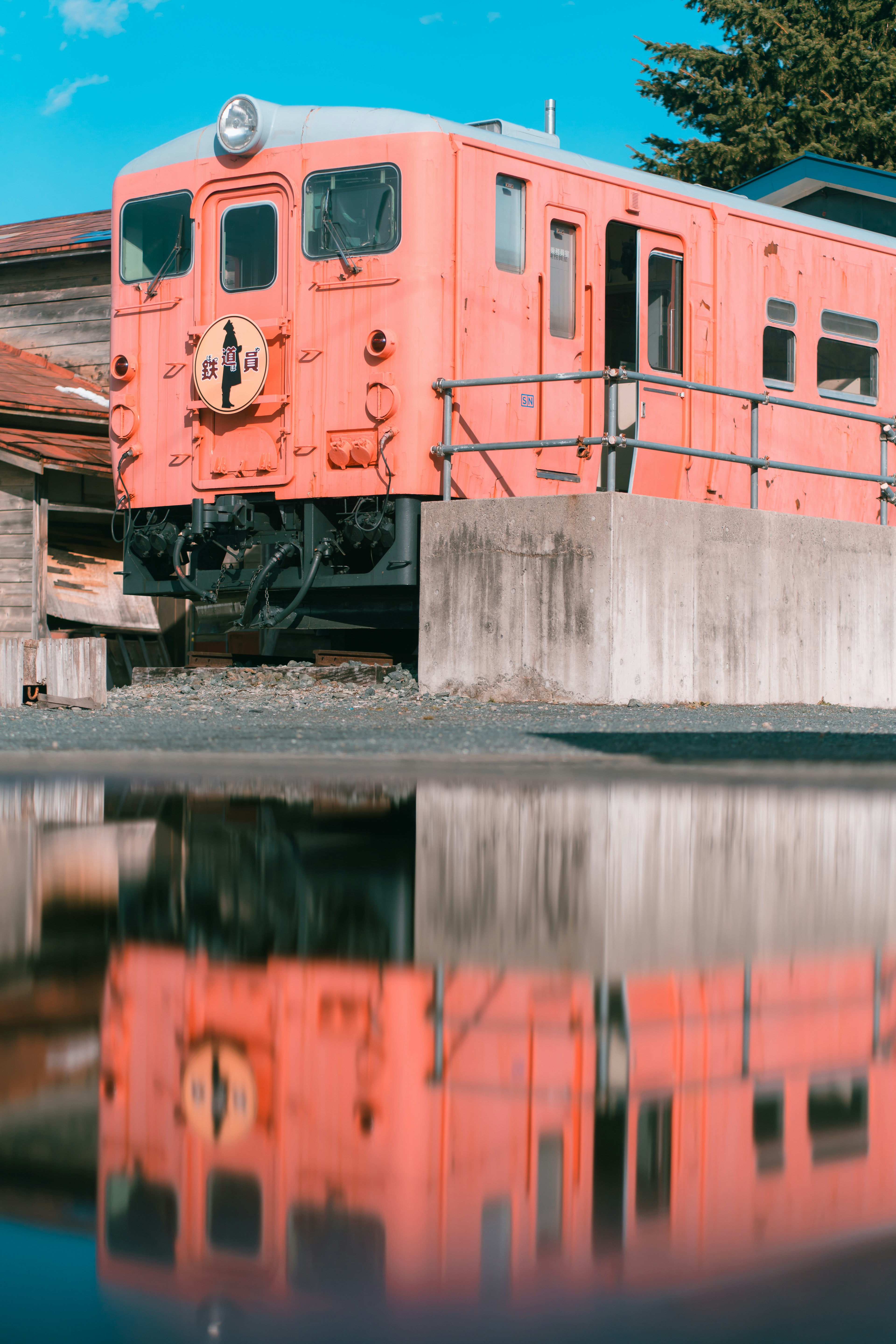 Train rose se reflétant sur la surface de l'eau