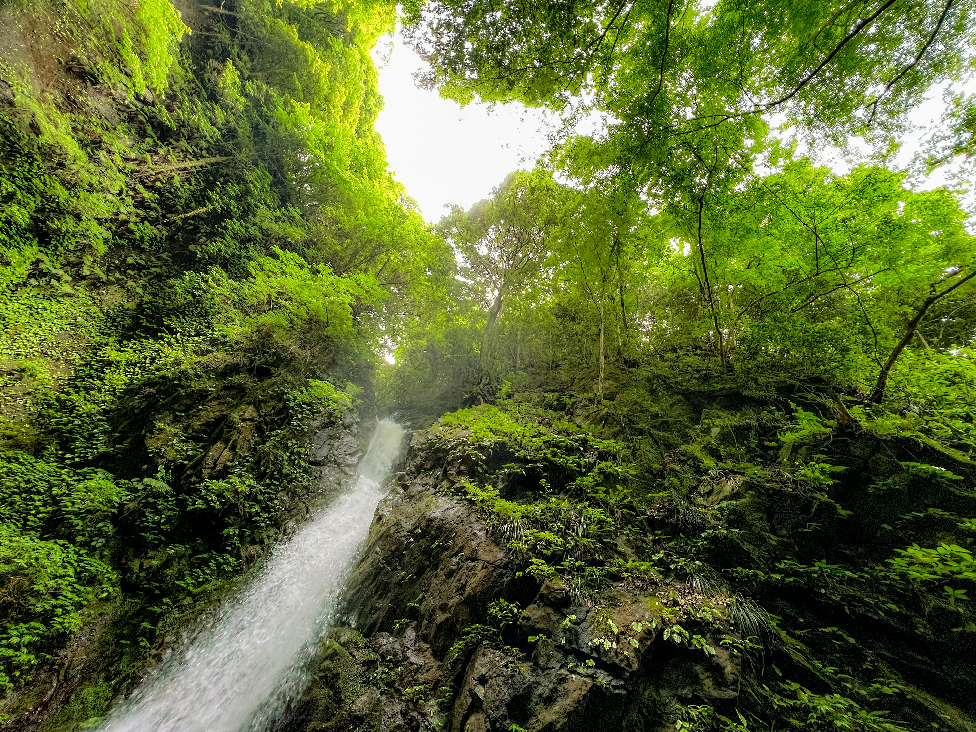 Air terjun pemandangan indah dikelilingi hutan hijau