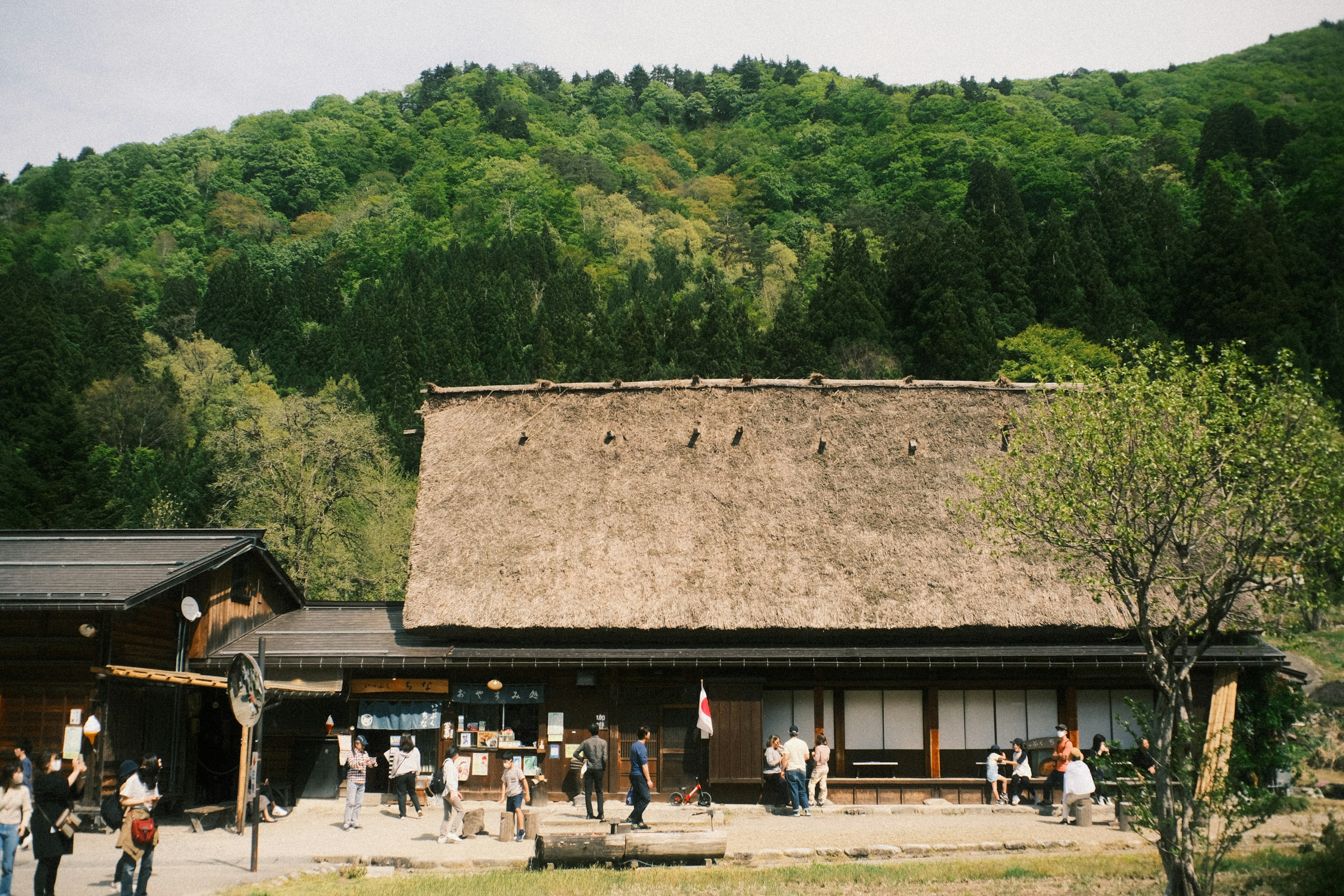 伝統的な日本の家屋と緑の山々が背景にある風景