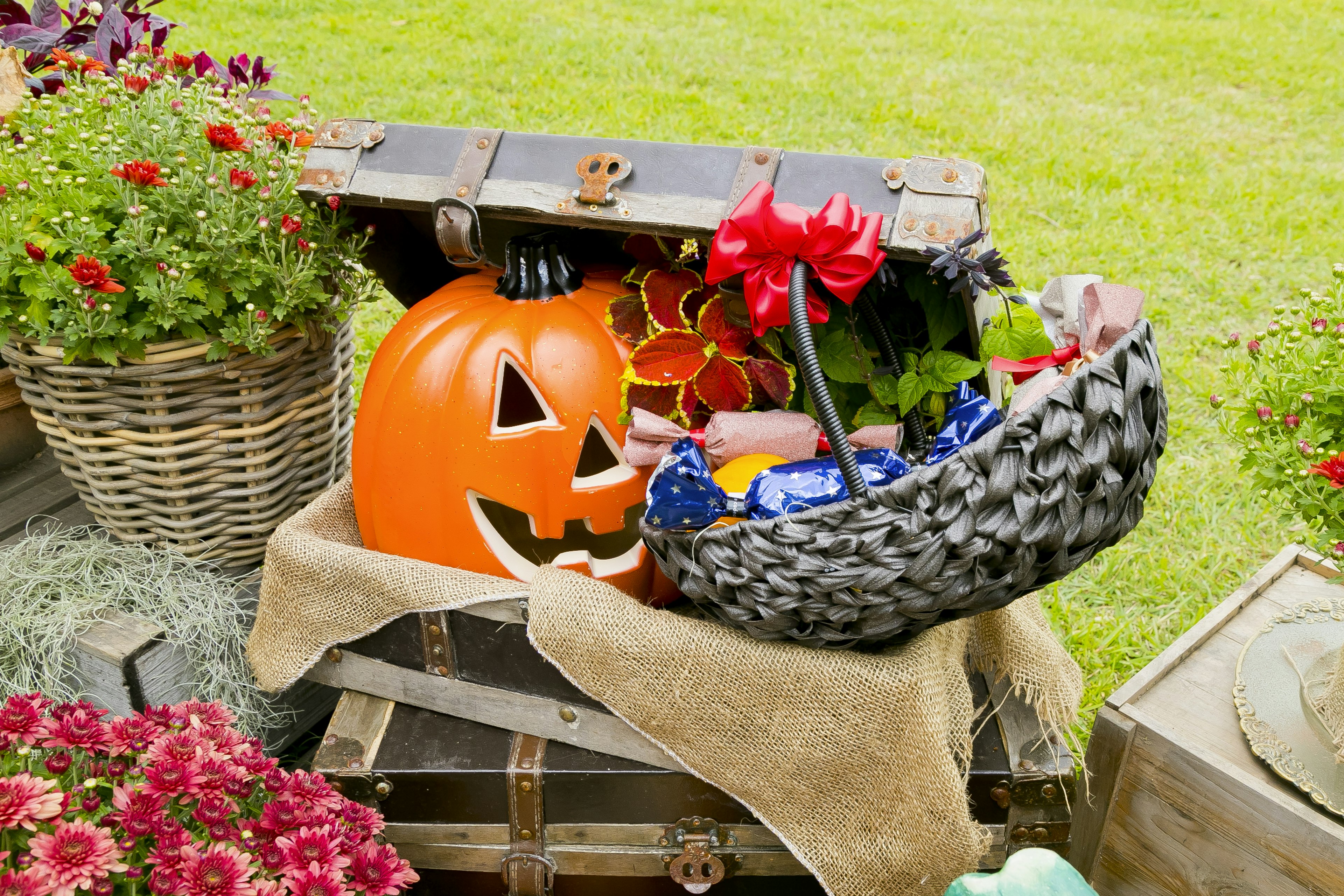 Halloween pumpkin with a basket of flowers in a garden setting