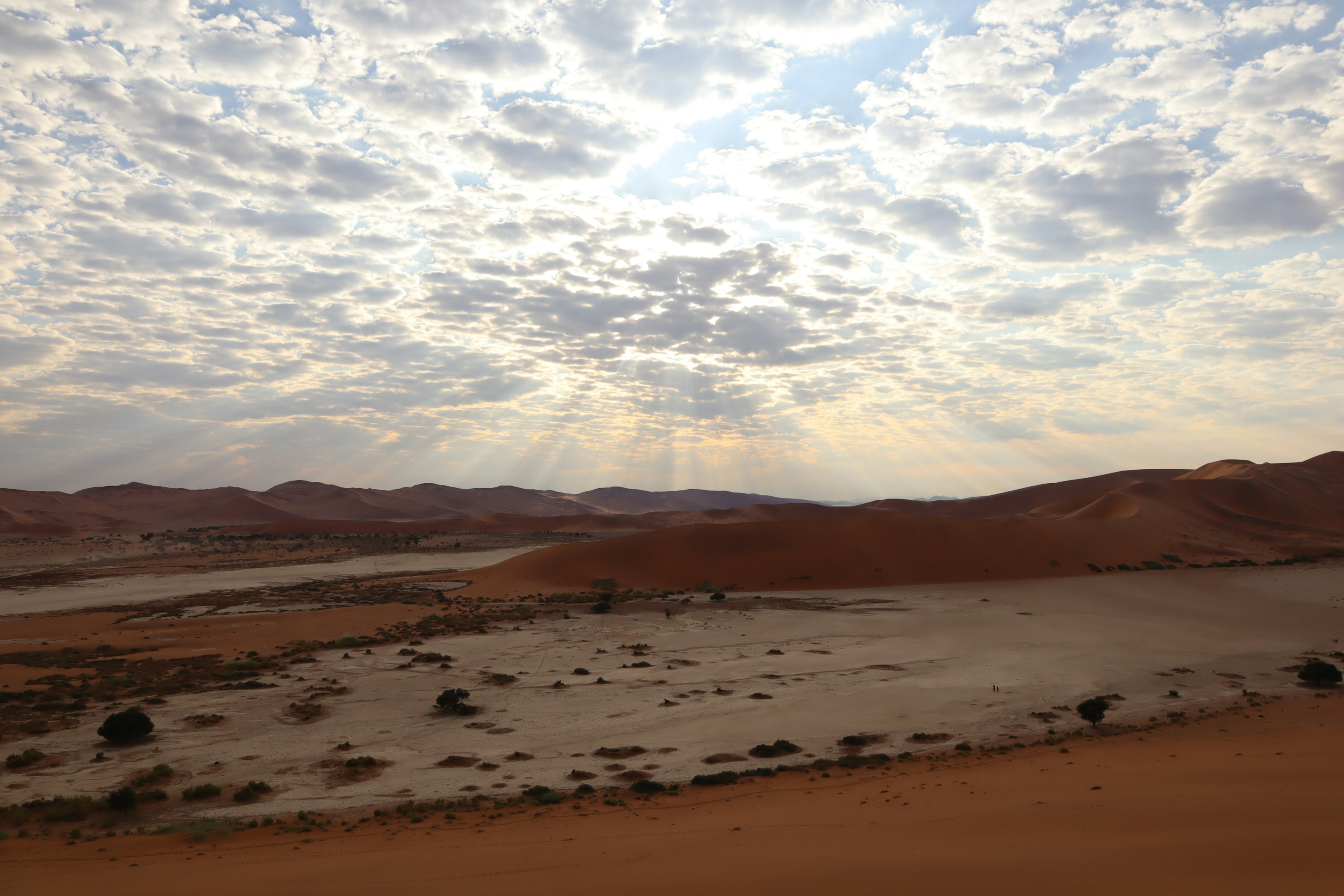 Wüstenlandschaft mit bewölktem Himmel