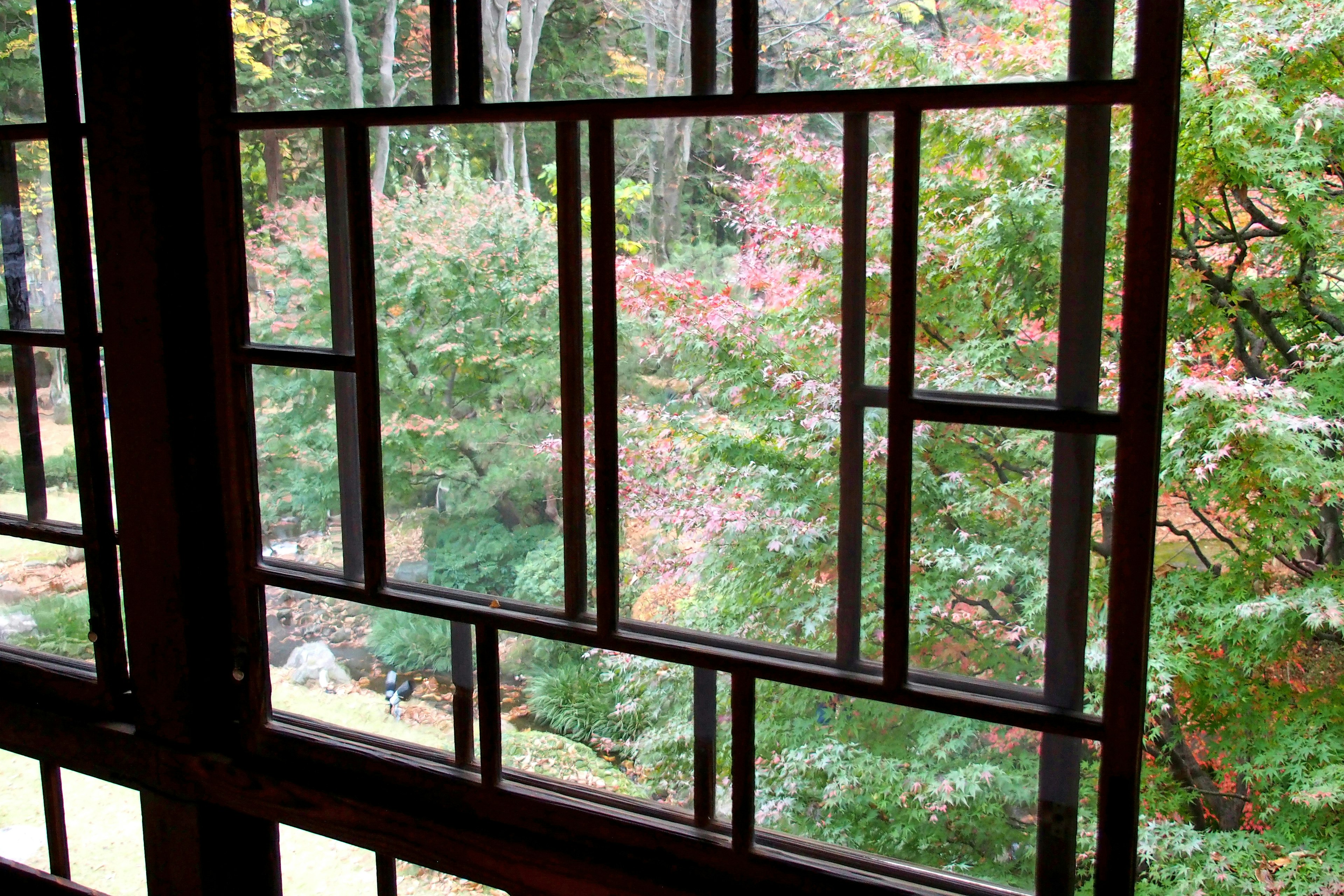 Marco de ventana japonés tradicional que muestra una vista de un jardín vibrante