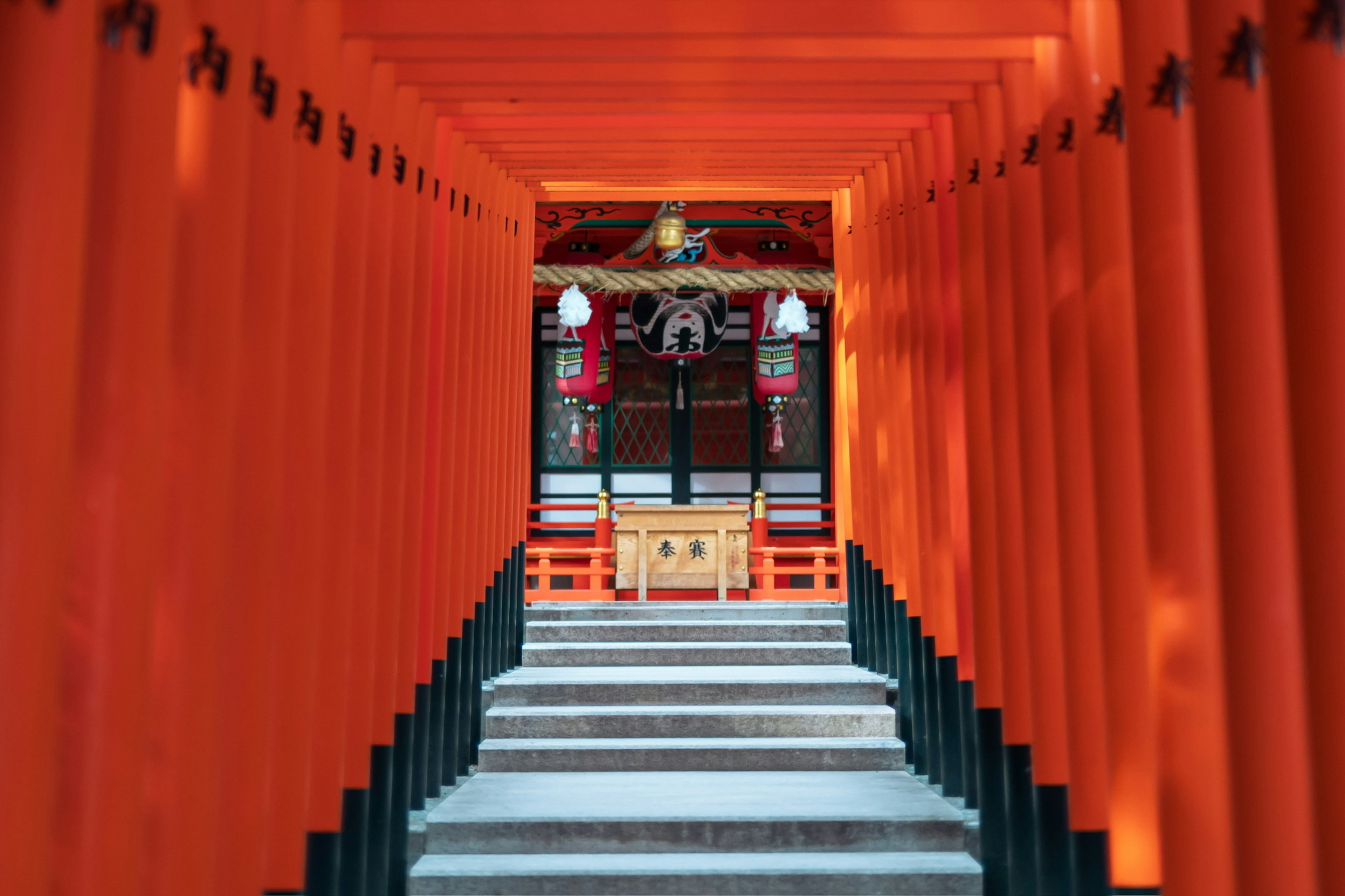 赤い鳥居に囲まれた神社の入口の風景