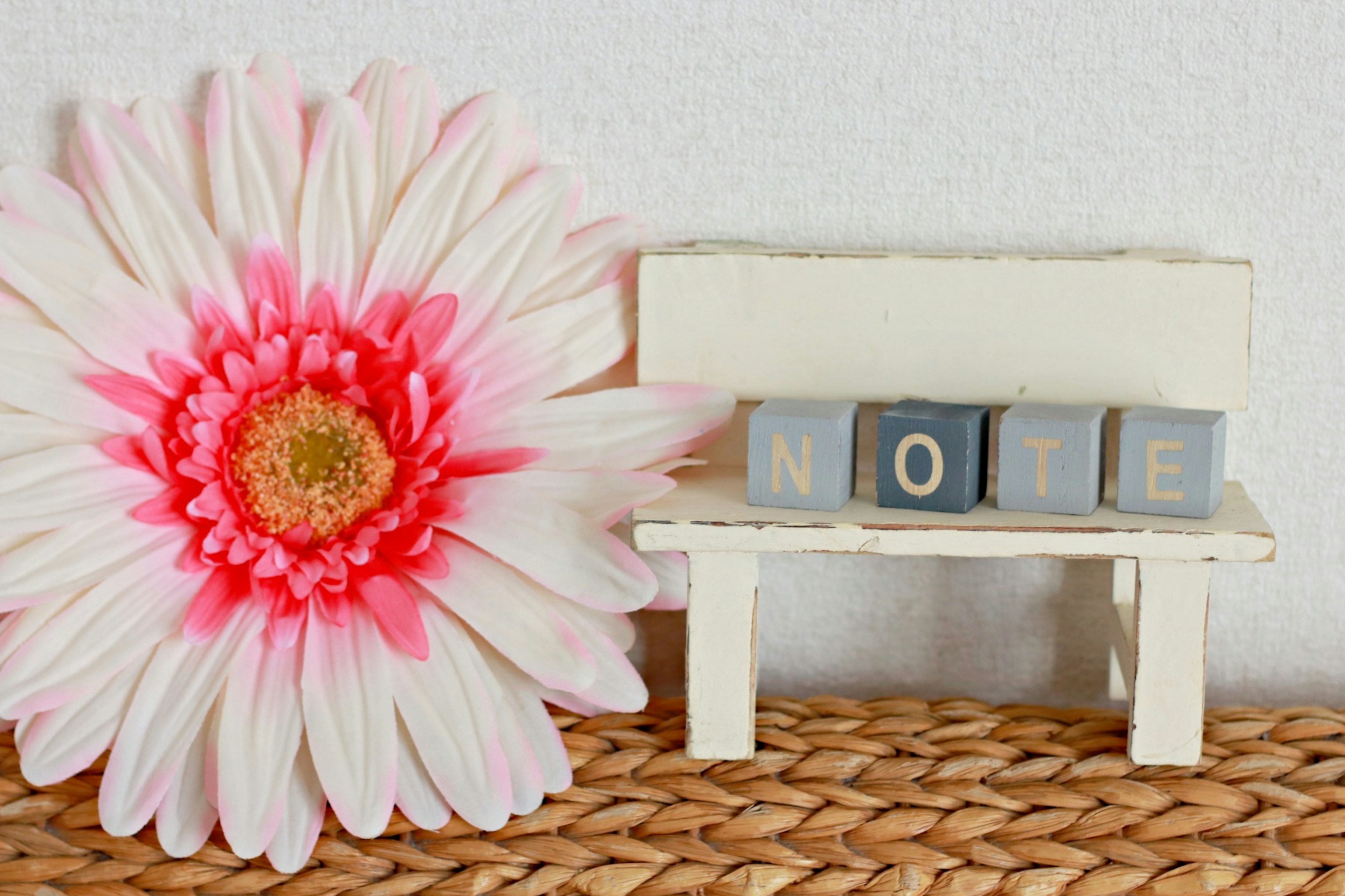 Eine kleine Bank mit Holzblöcken, die NOTE buchstabieren, neben einer großen rosa Blume vor einer weißen Wand