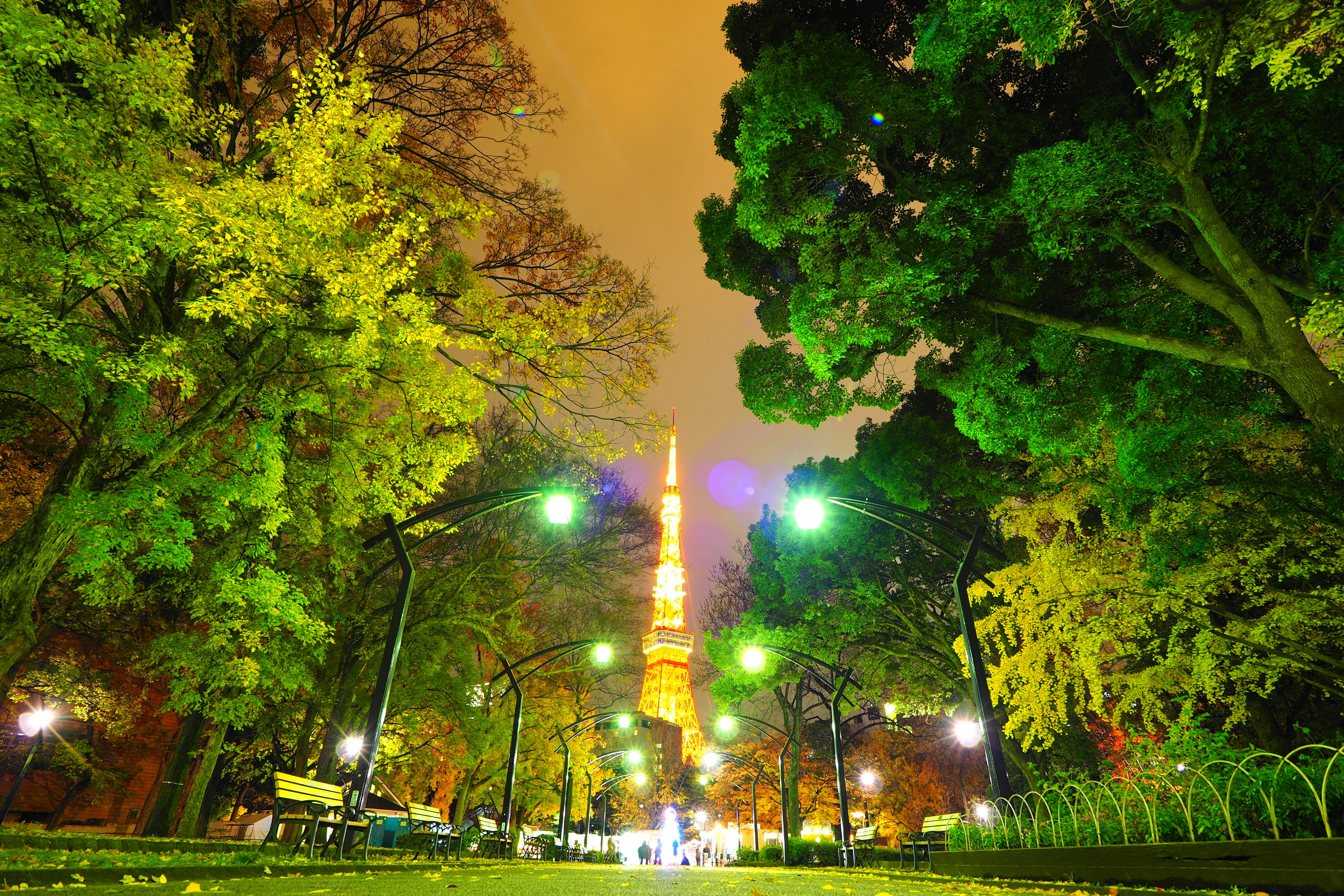 Pemandangan malam Menara Tokyo terlihat melalui taman yang rimbun