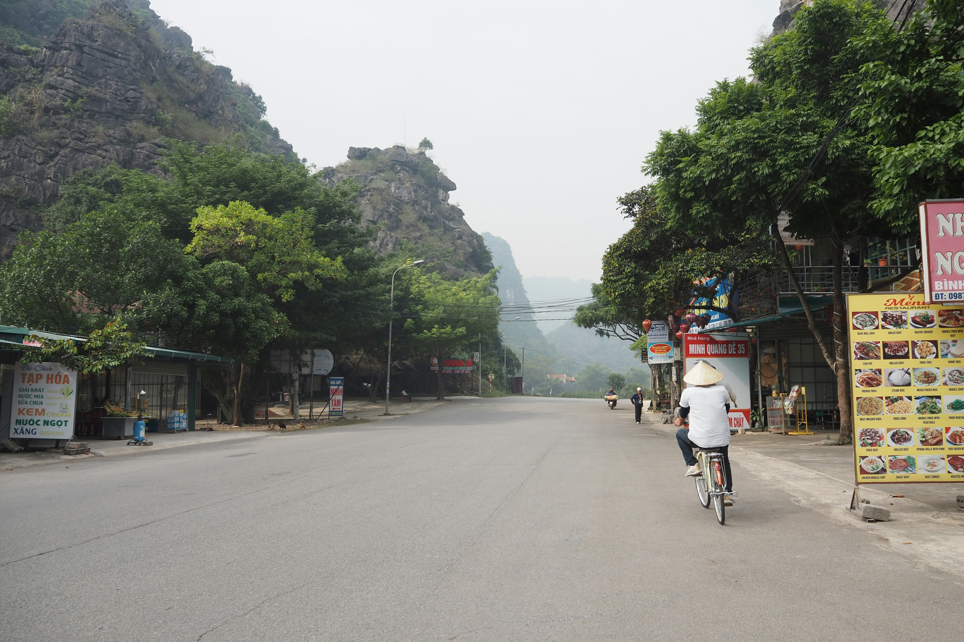 A person riding a bicycle on a quiet road surrounded by green trees