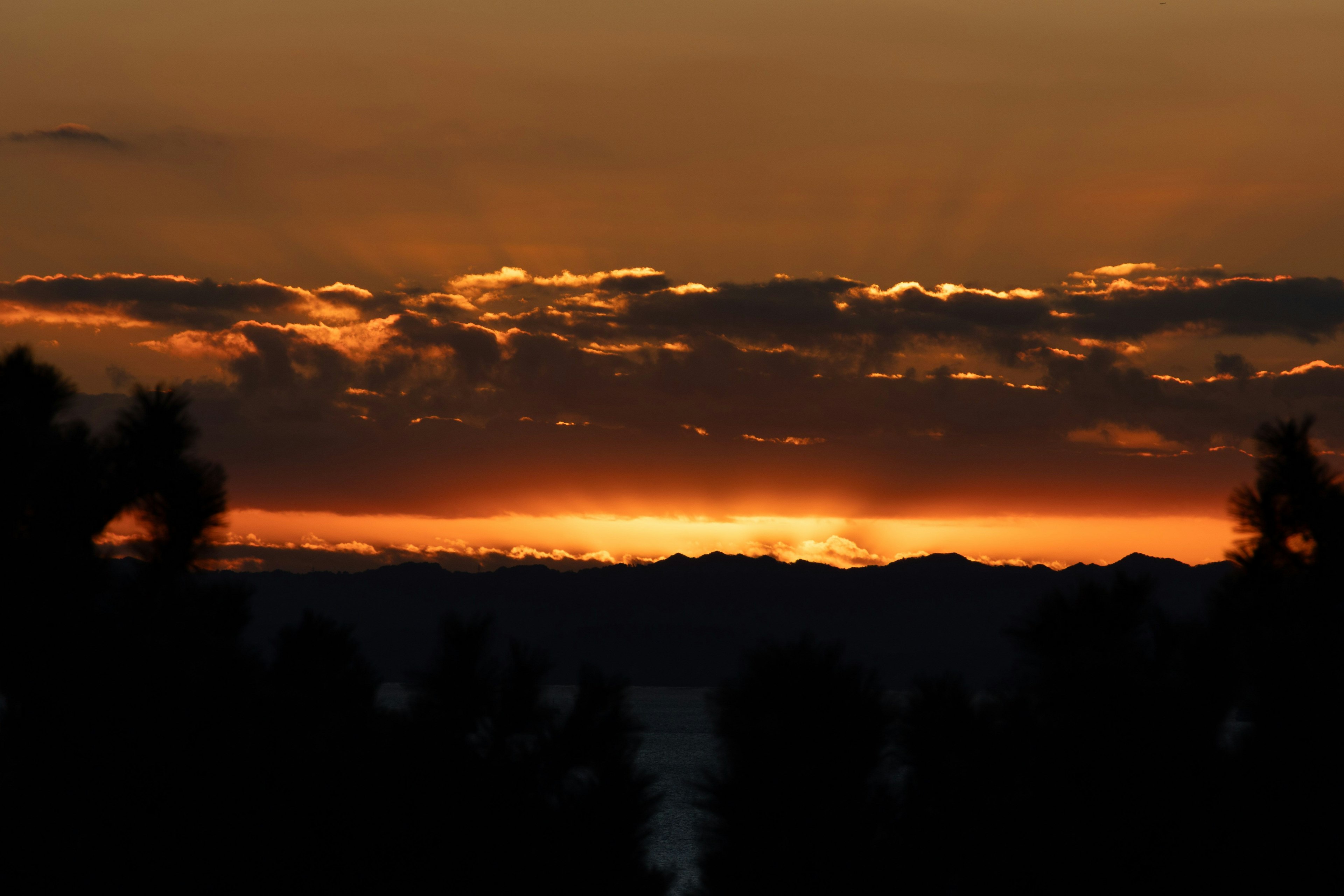 夕焼けの空とシルエットの木々の風景