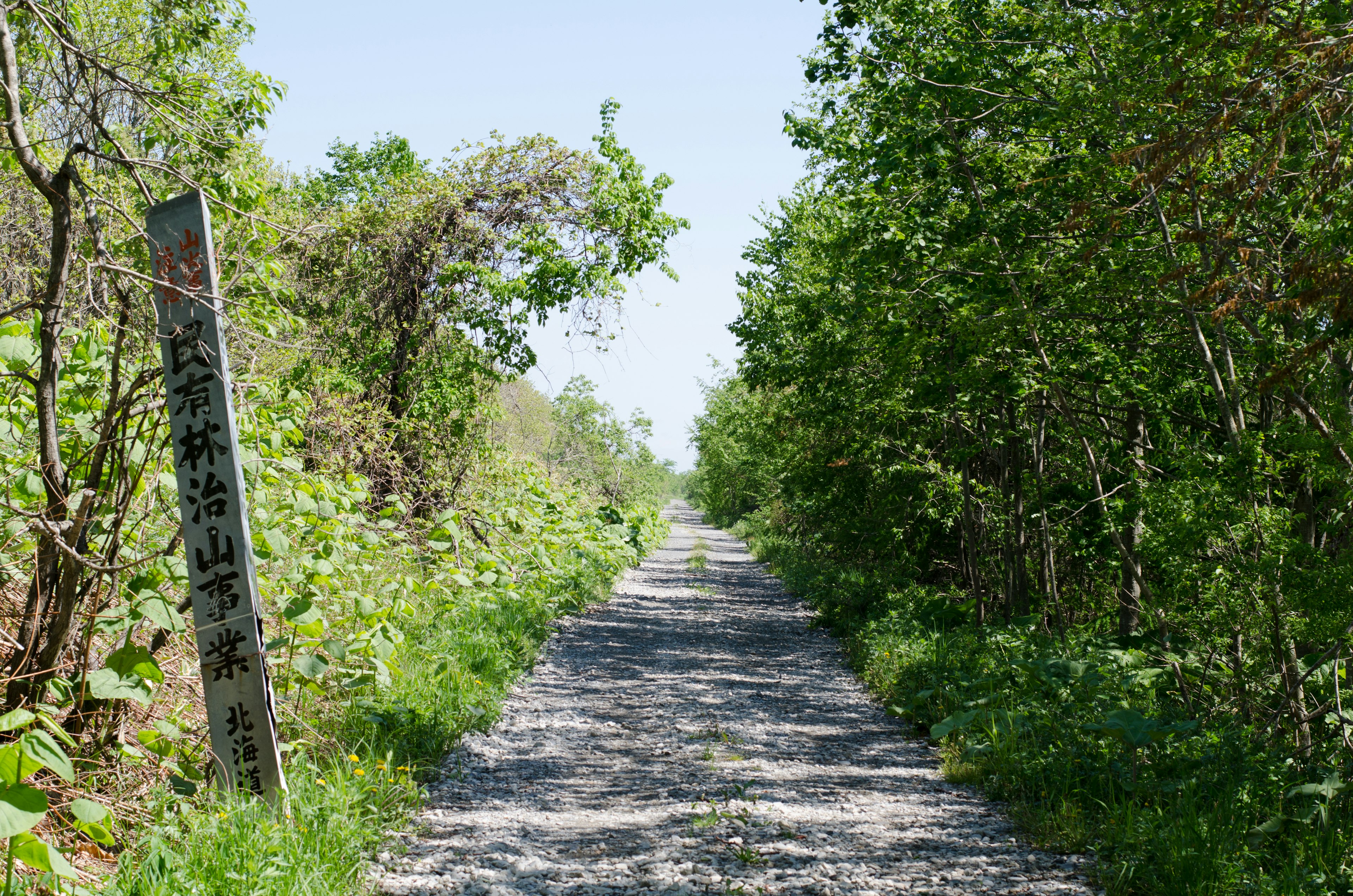 Malersicher Weg umgeben von Grün Kiesweg mit Bäumen an den Seiten