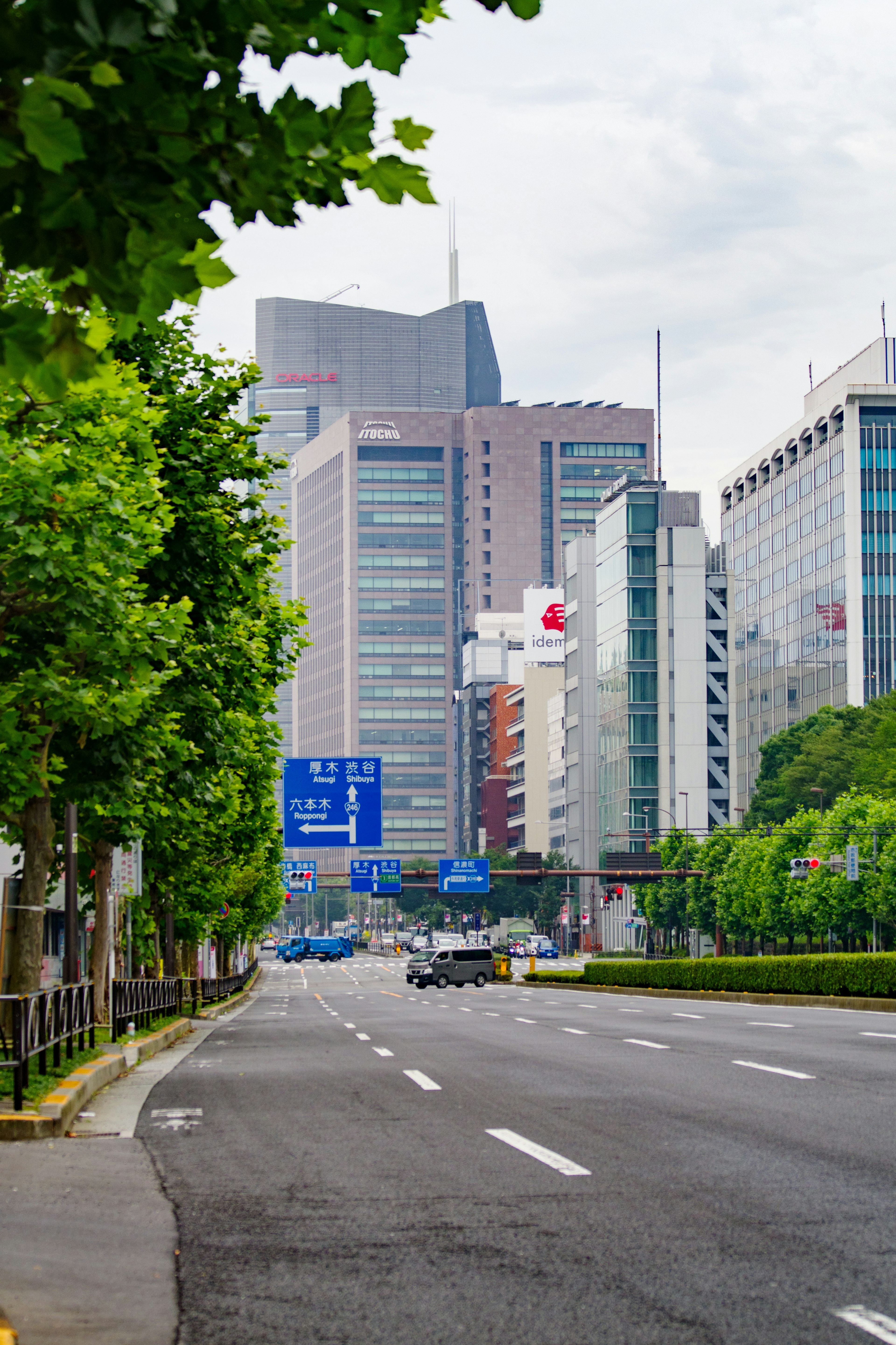 Cảnh quan thành phố Tokyo với các tòa nhà chọc trời và hàng cây dọc theo đường