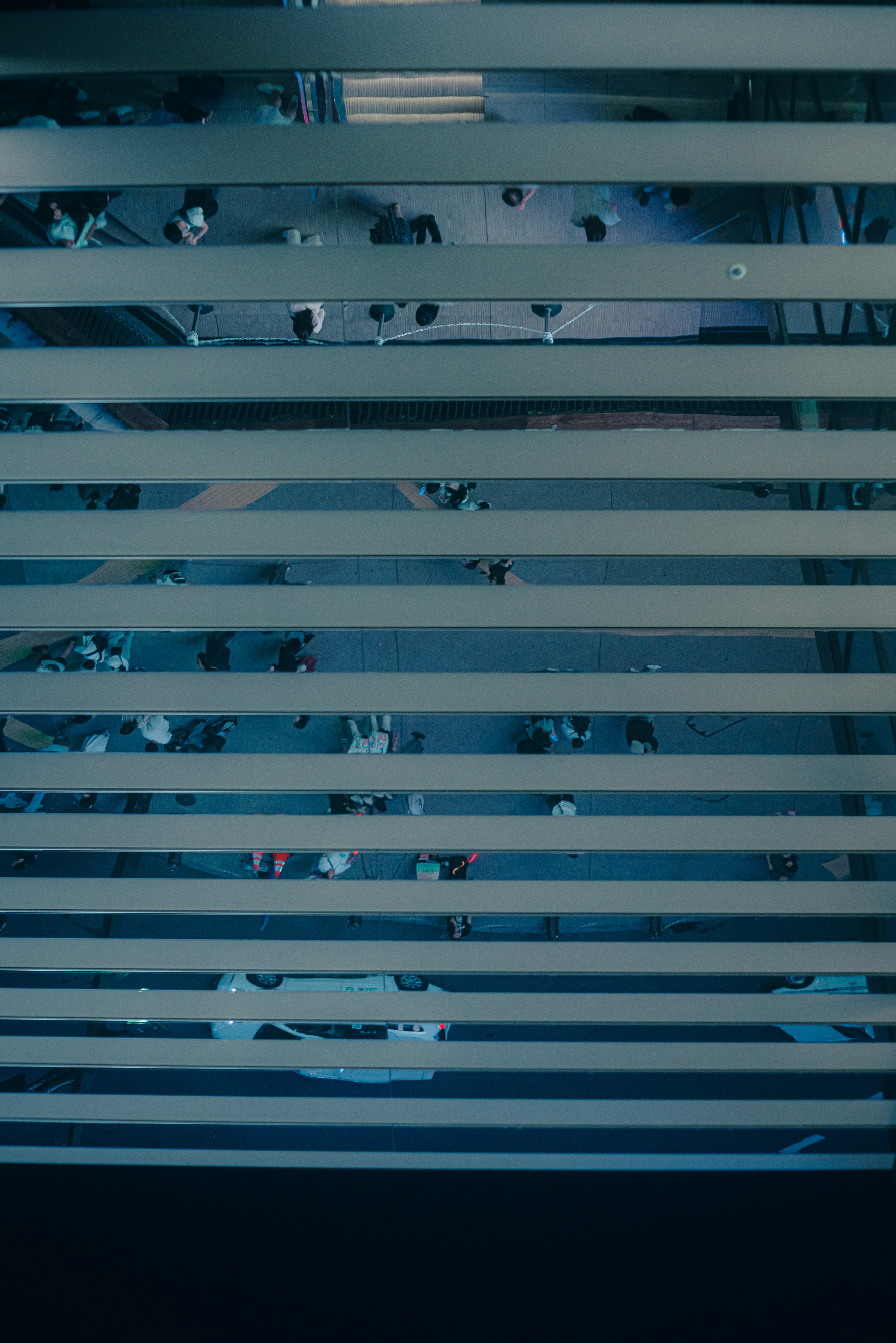 View of people moving through horizontal blinds with a blue tint