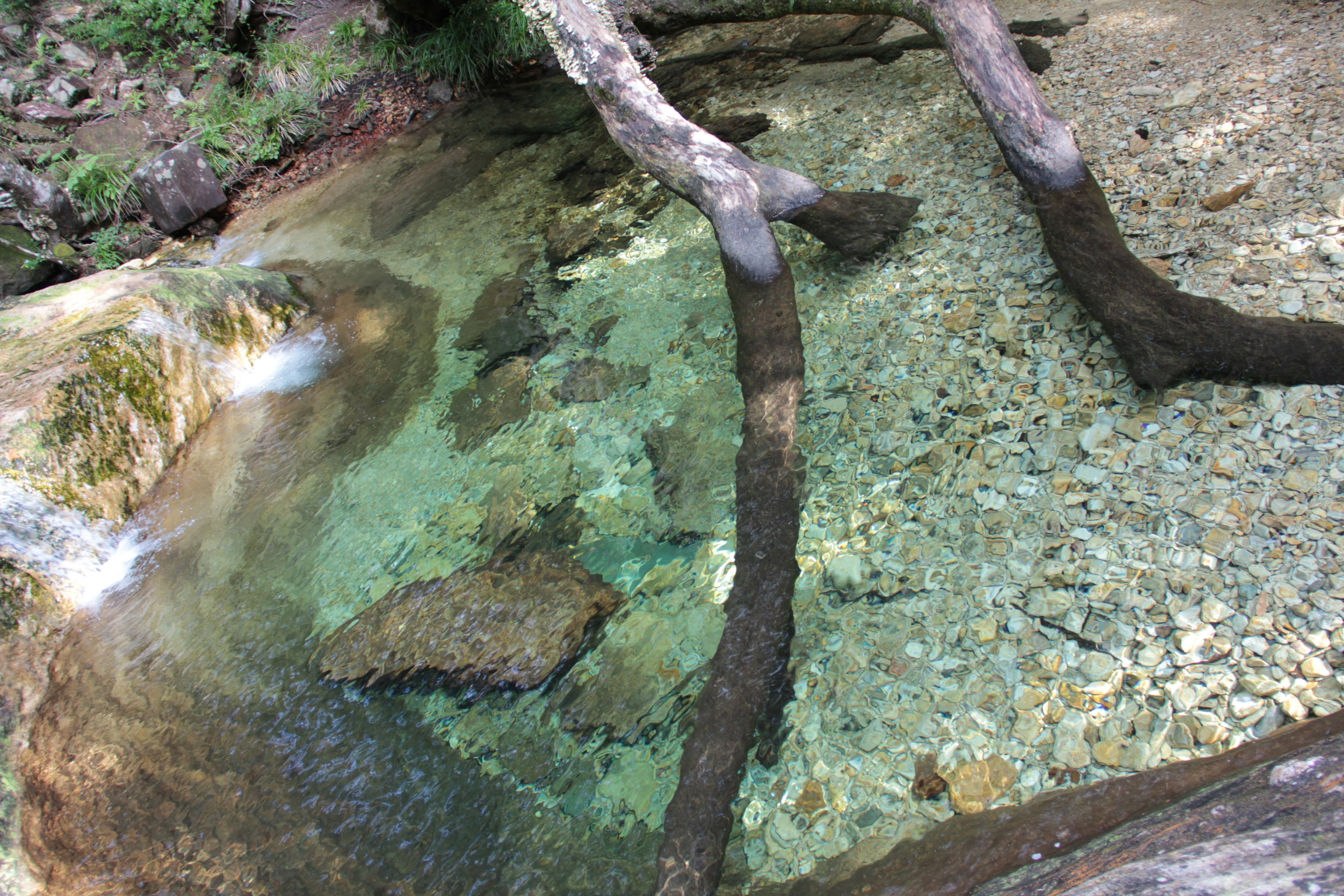 Ruisseau naturel avec de l'eau claire et des rochers visibles