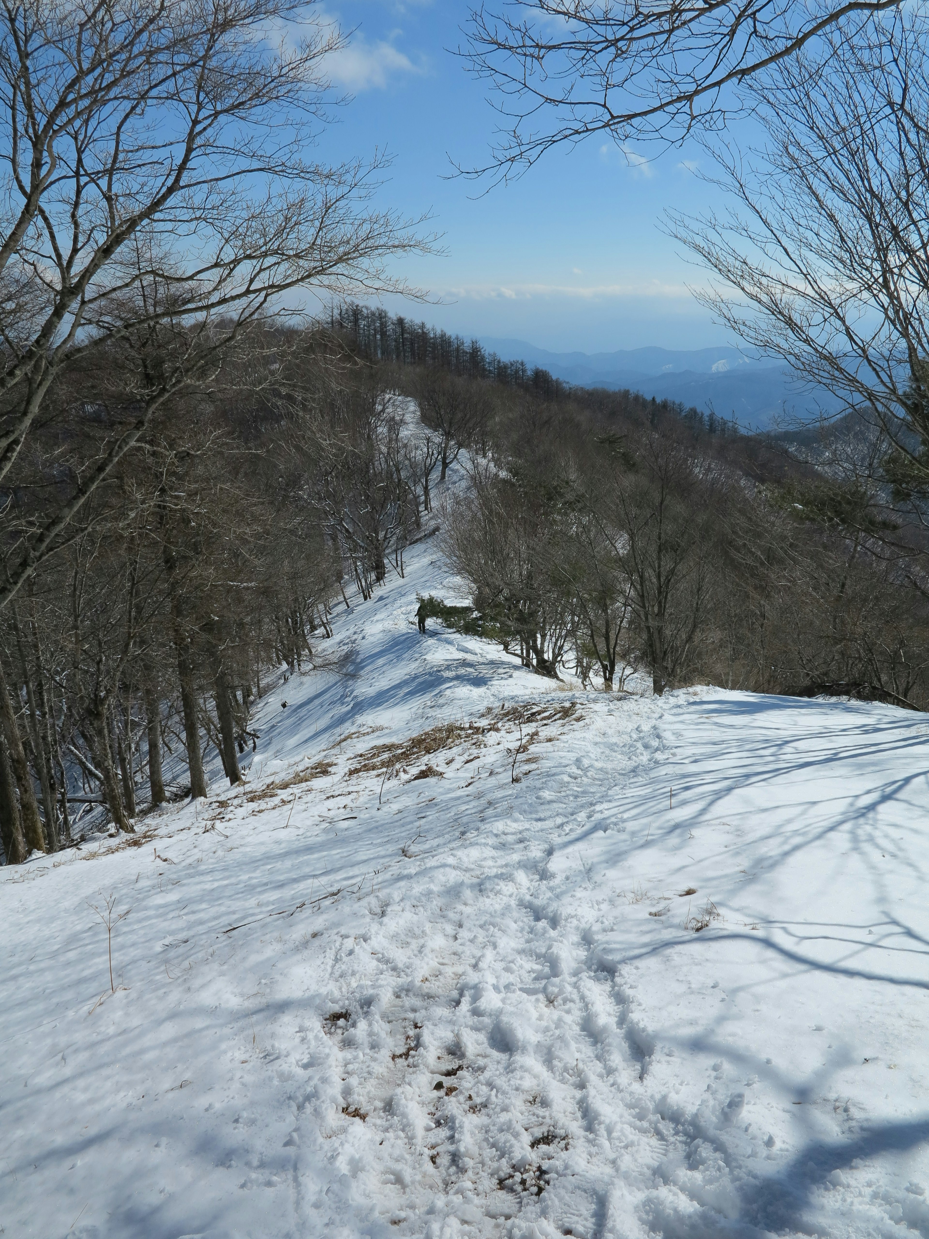 雪に覆われた山道と青空が広がる風景