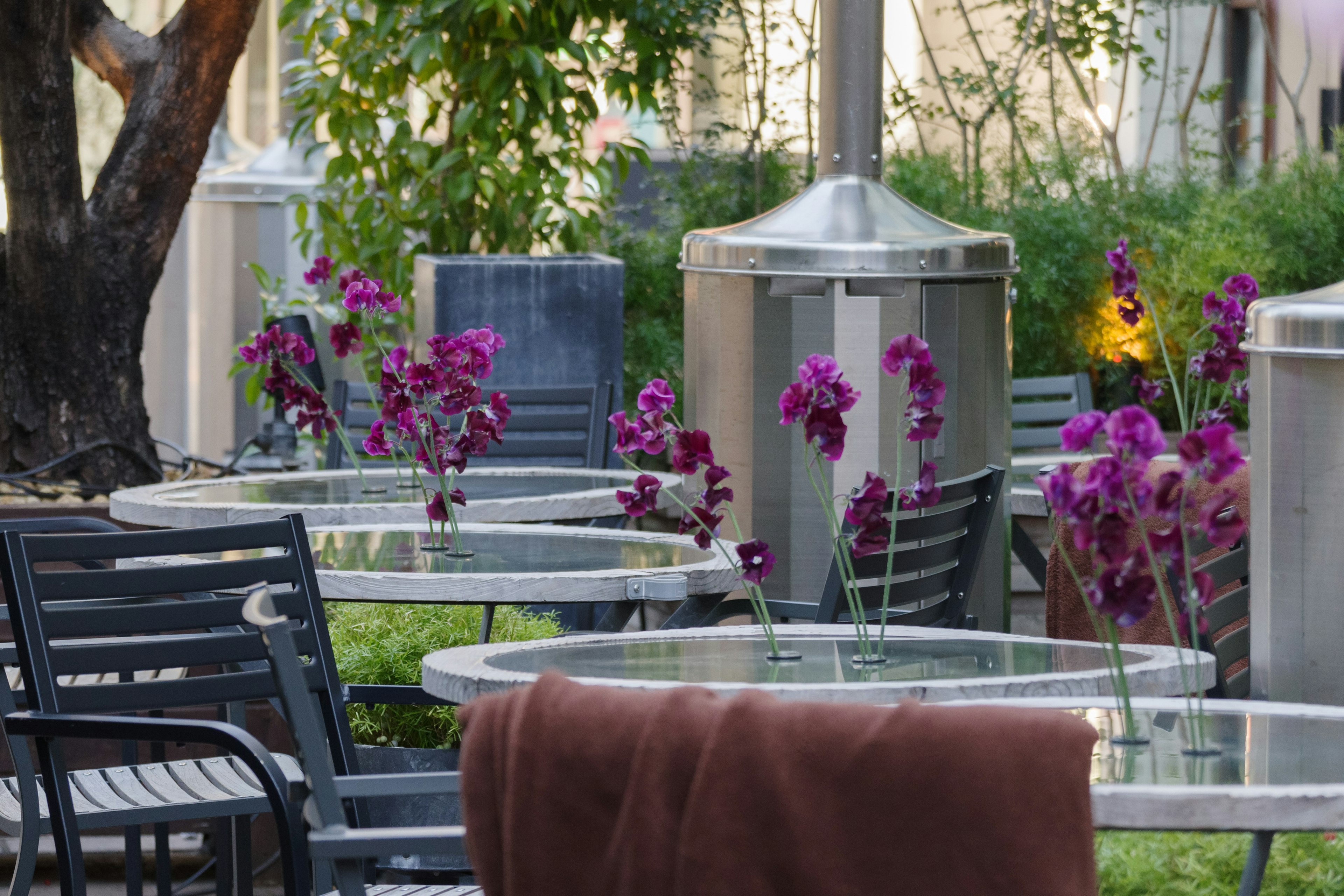 Escena de café al aire libre con mesas y sillas adornadas con flores moradas