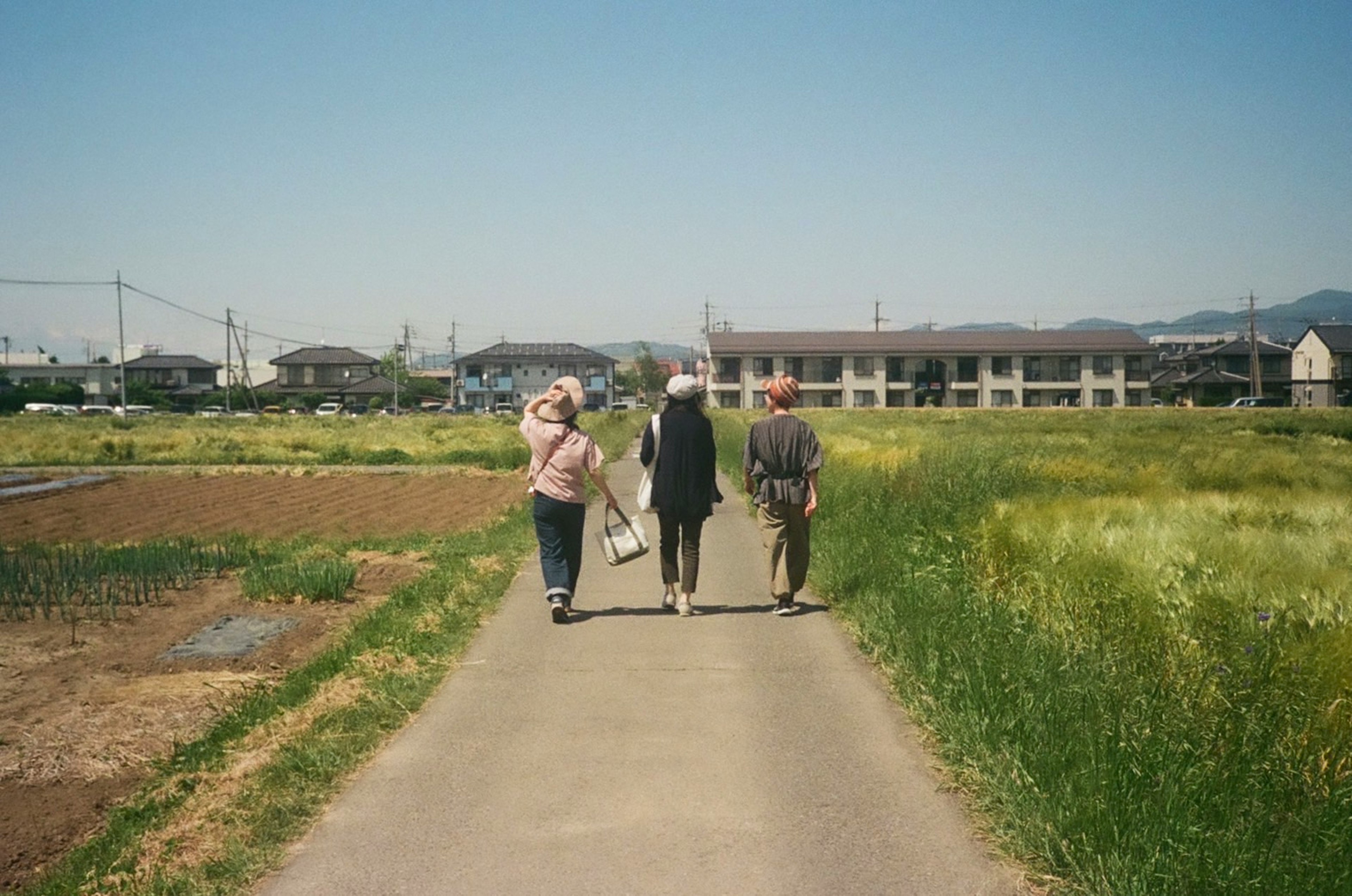 Three people walking on a rural path surrounded by green fields