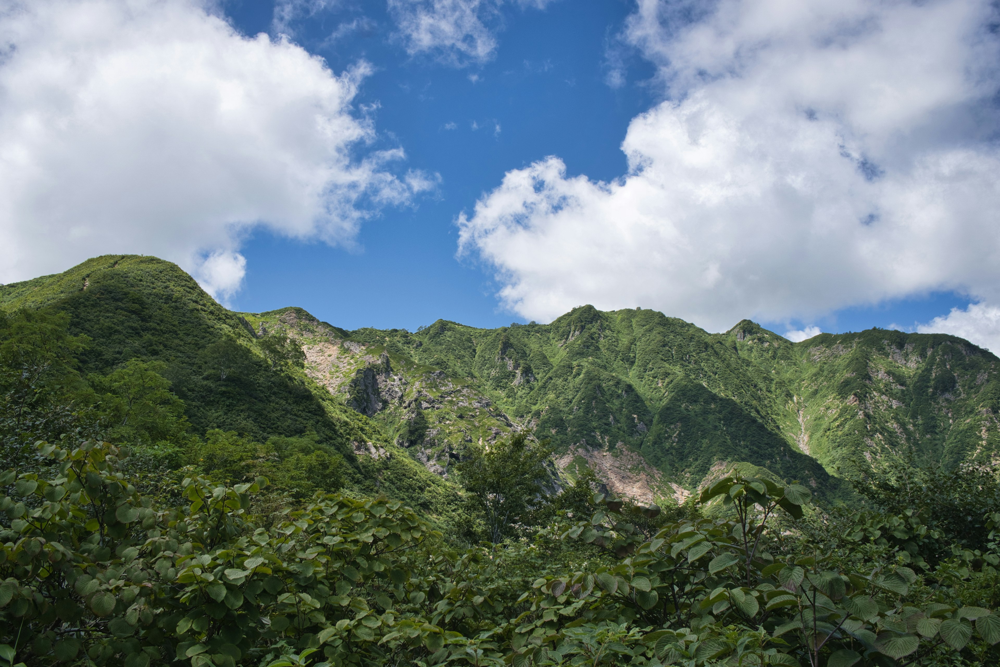 Gunung hijau subur di bawah langit biru