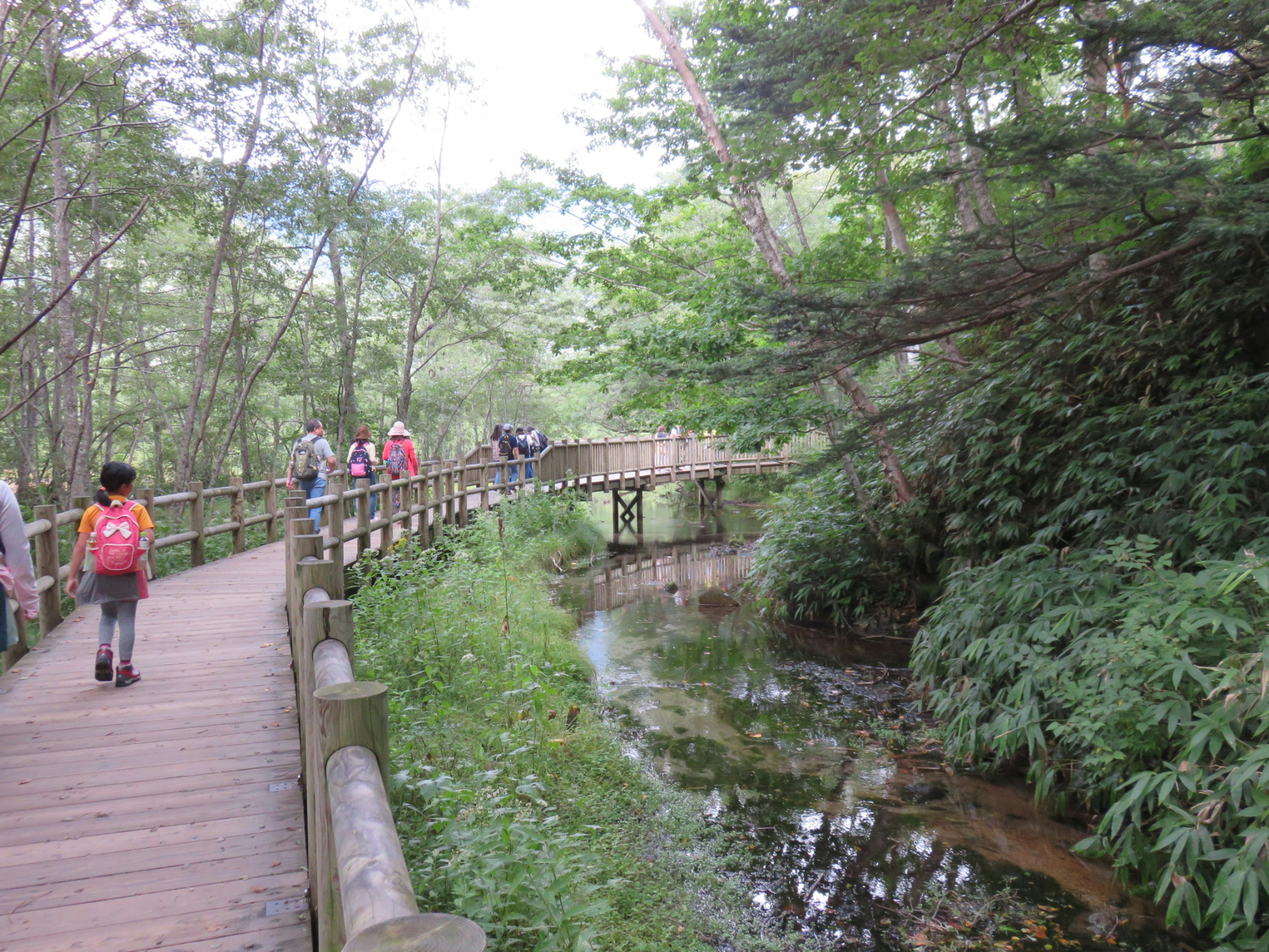 Holzbrücke über einen Bach in einem üppigen grünen Wald mit Menschen, die gehen