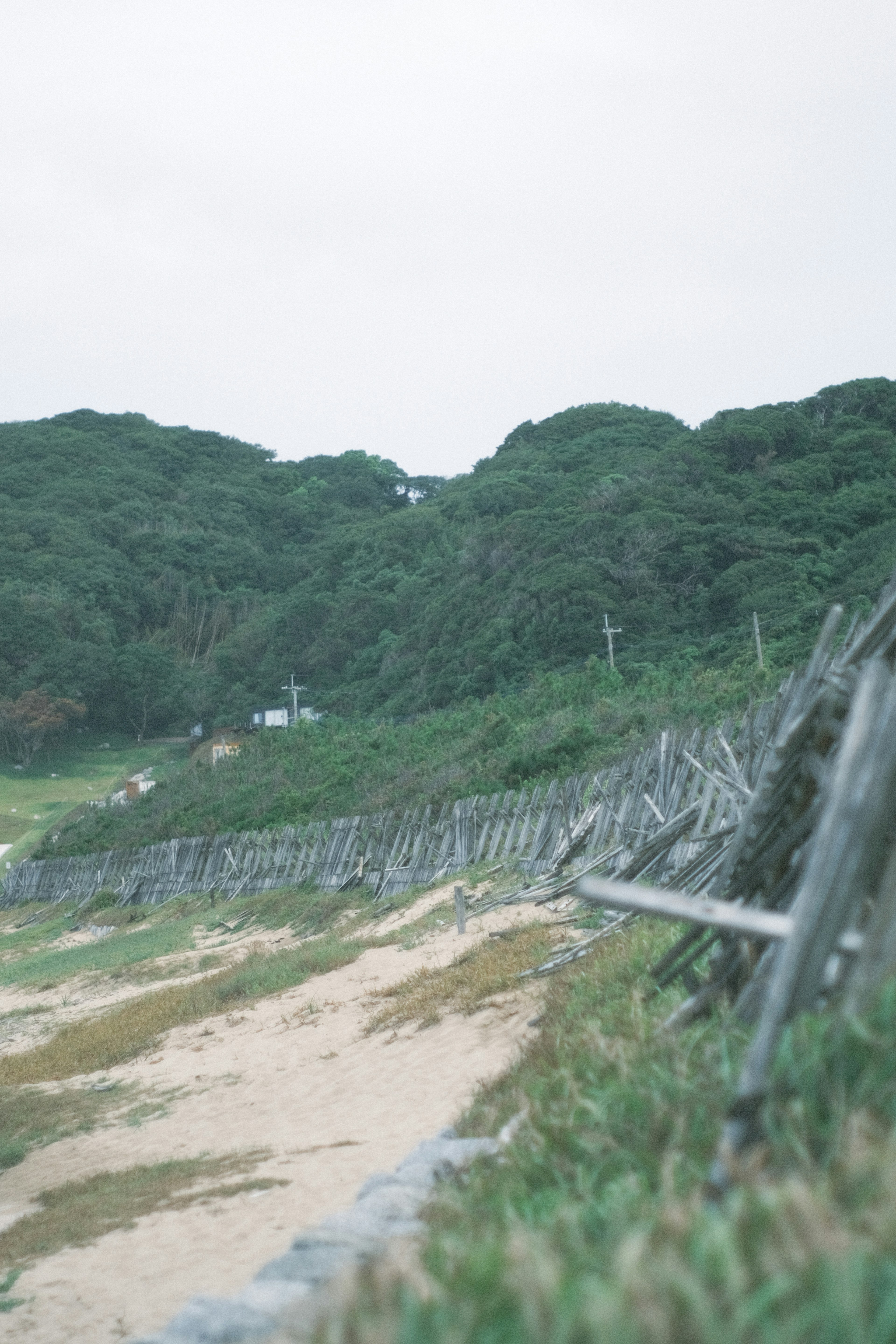 Wooden fence along the shoreline with lush green trees