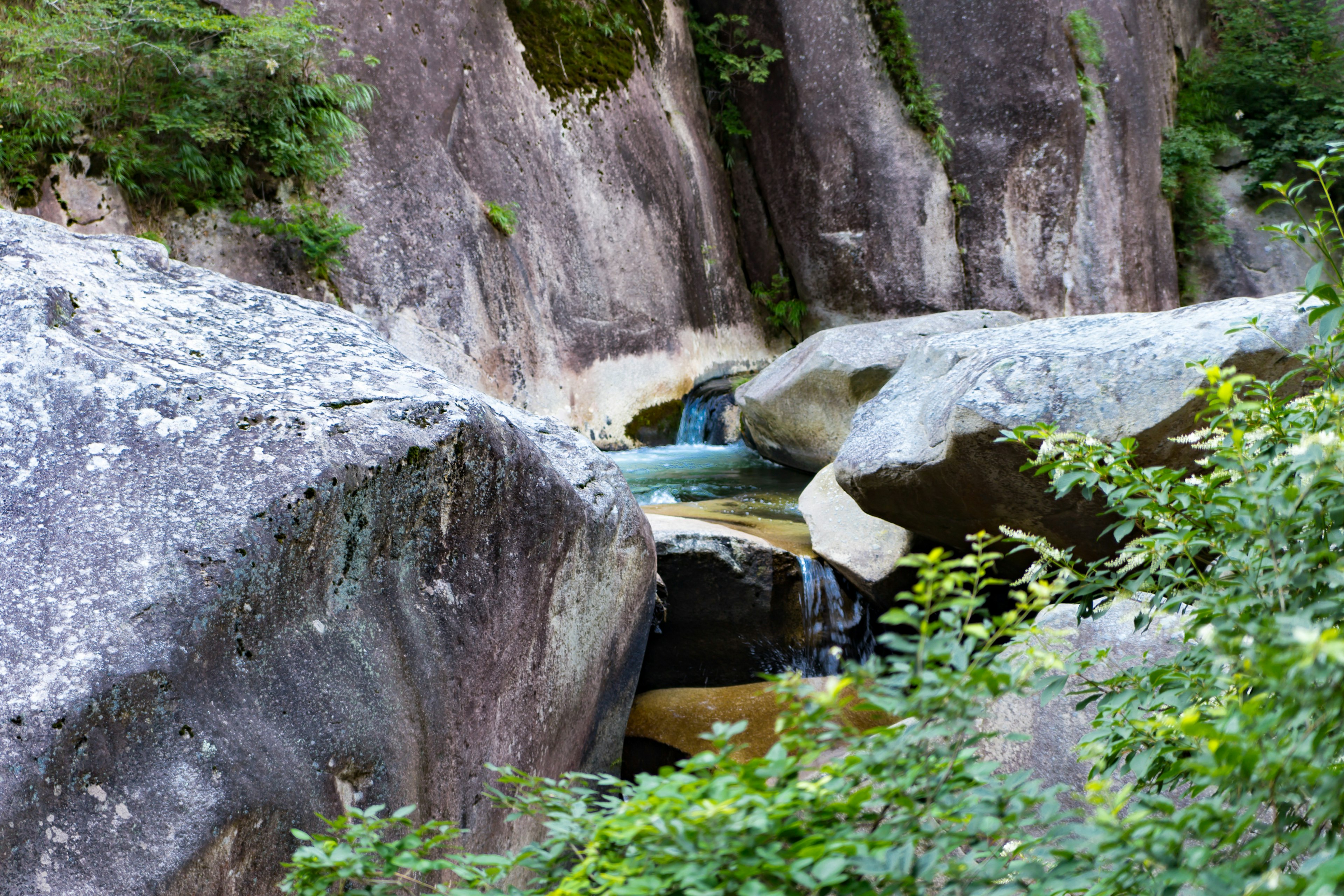 Un paesaggio naturale con un ruscello limpido che scorre tra grandi rocce e vegetazione verde lussureggiante