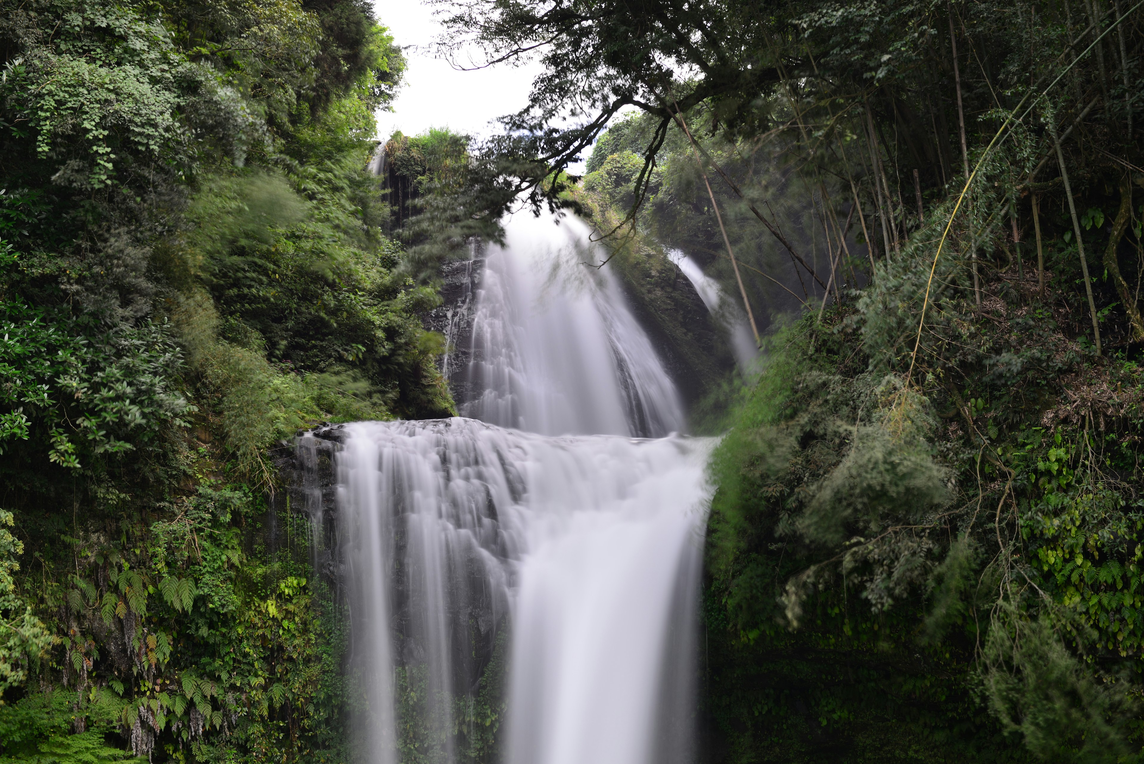 Bellissima cascata circondata da una vegetazione lussureggiante acqua che scorre