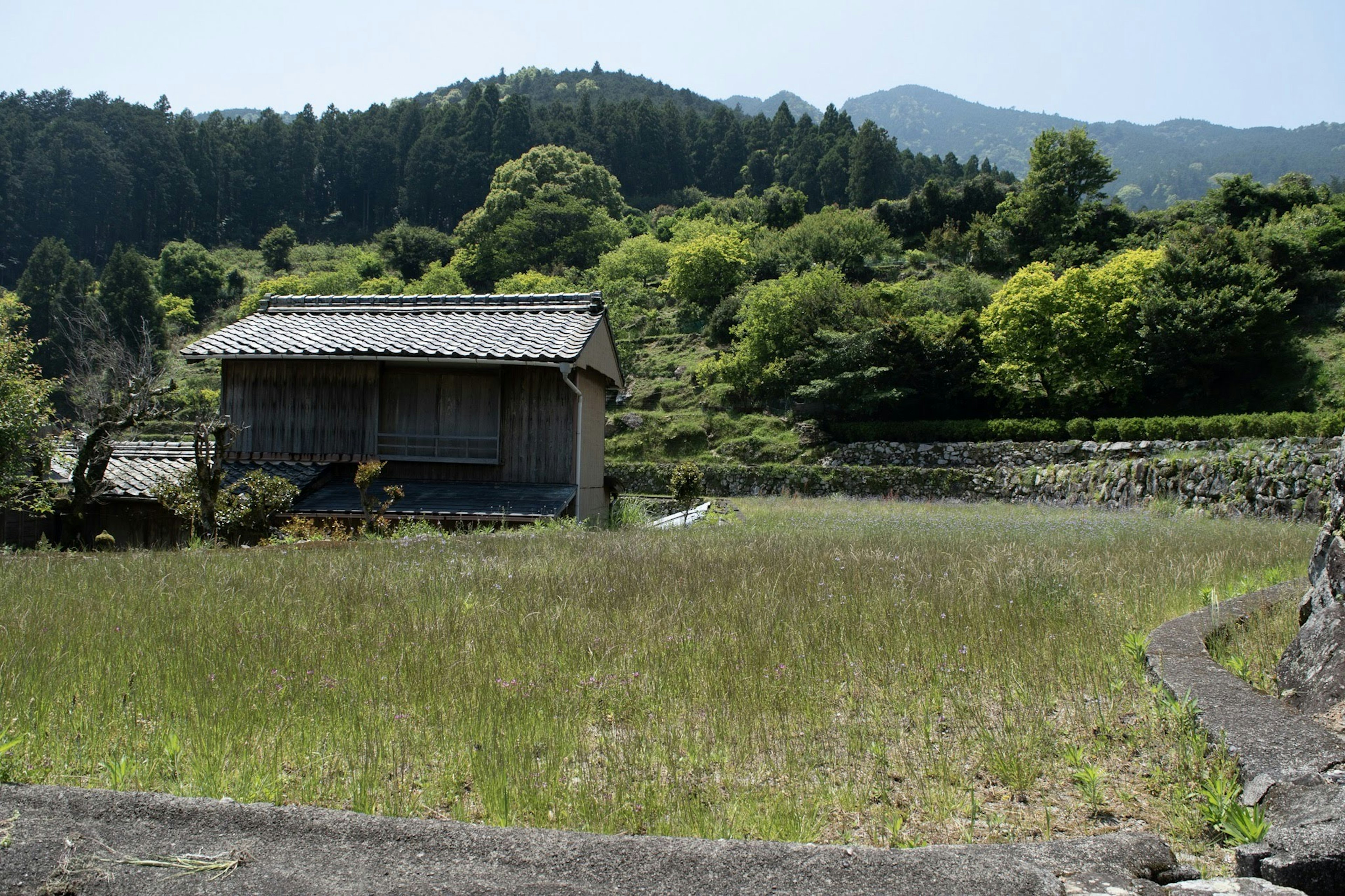 Maison japonaise traditionnelle dans un paysage verdoyant avec des montagnes