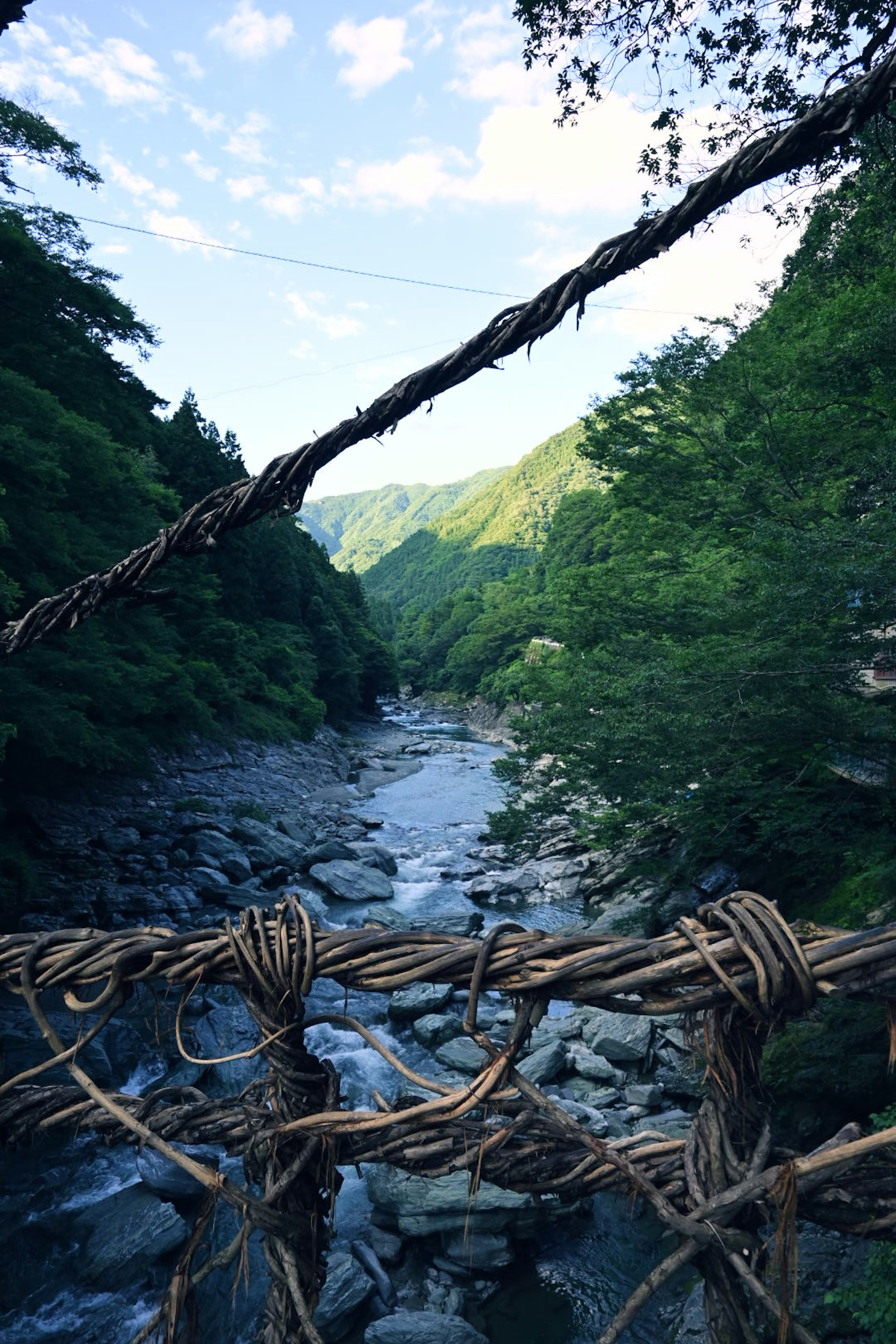 Vue pittoresque d'une rivière et des montagnes depuis un pont suspendu en vignes