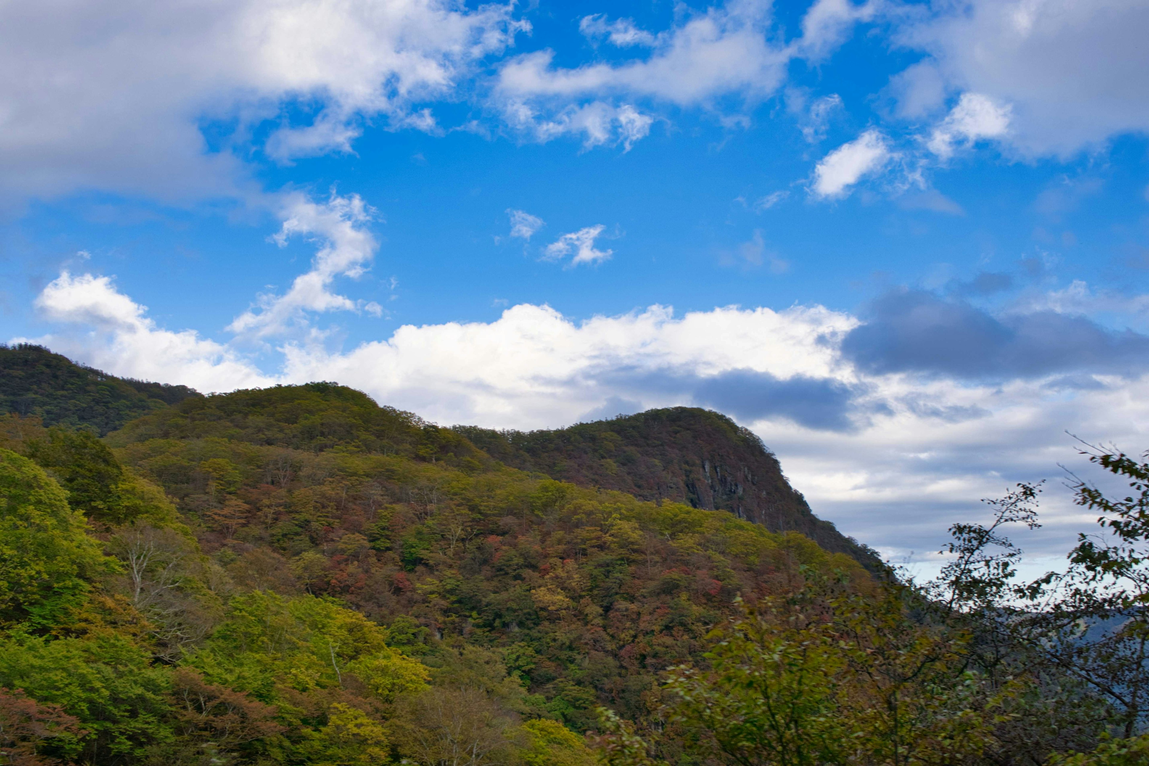 Paesaggio montano con cielo blu e nuvole caratterizzato da alberi verdi e marroni