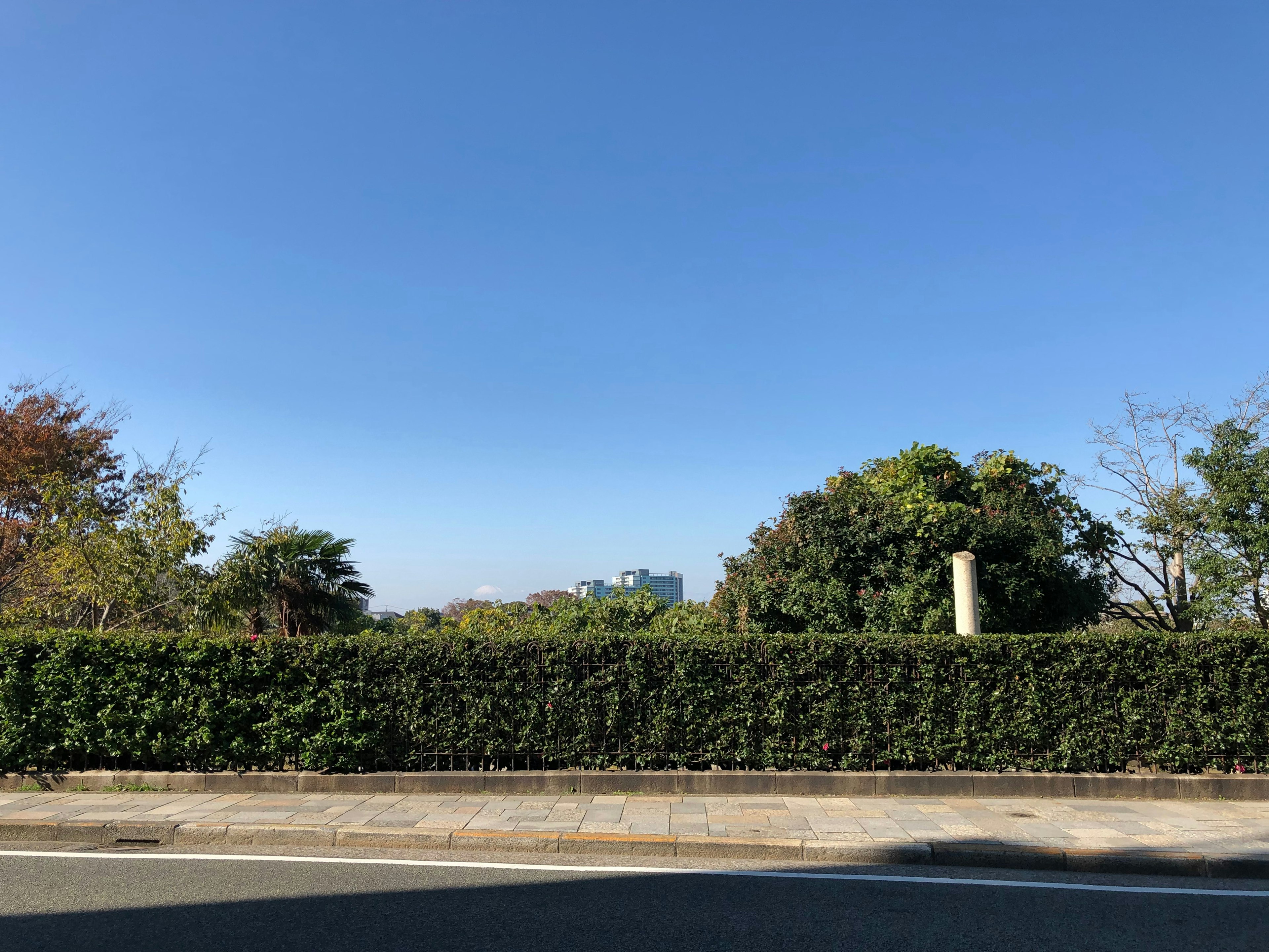 Paisaje con cielo azul claro y árboles verdes con una carretera y un seto bajo en primer plano