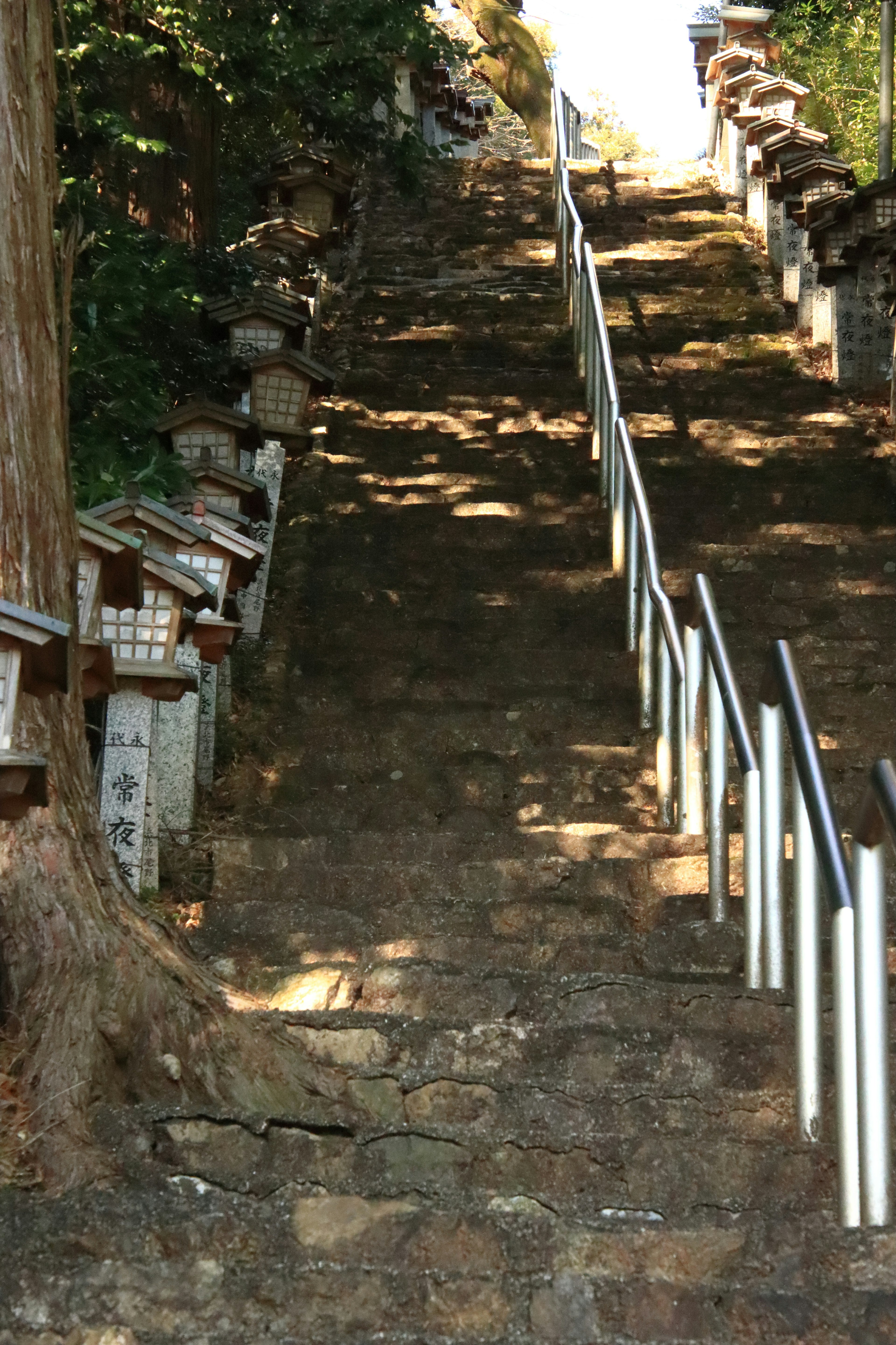 石阶通向山路，带有扶手