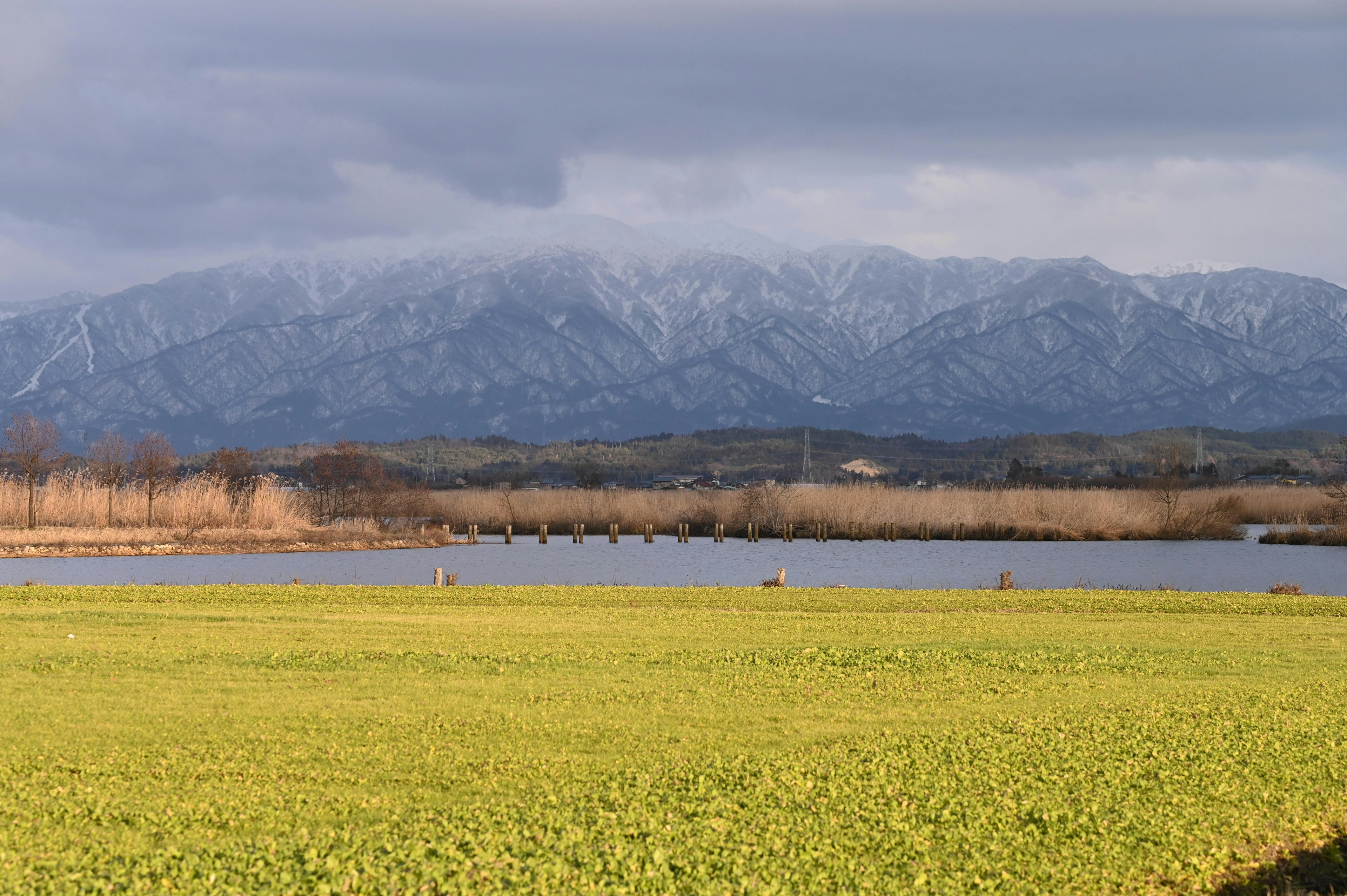 Snow-capped mountains behind a lush green field and calm water