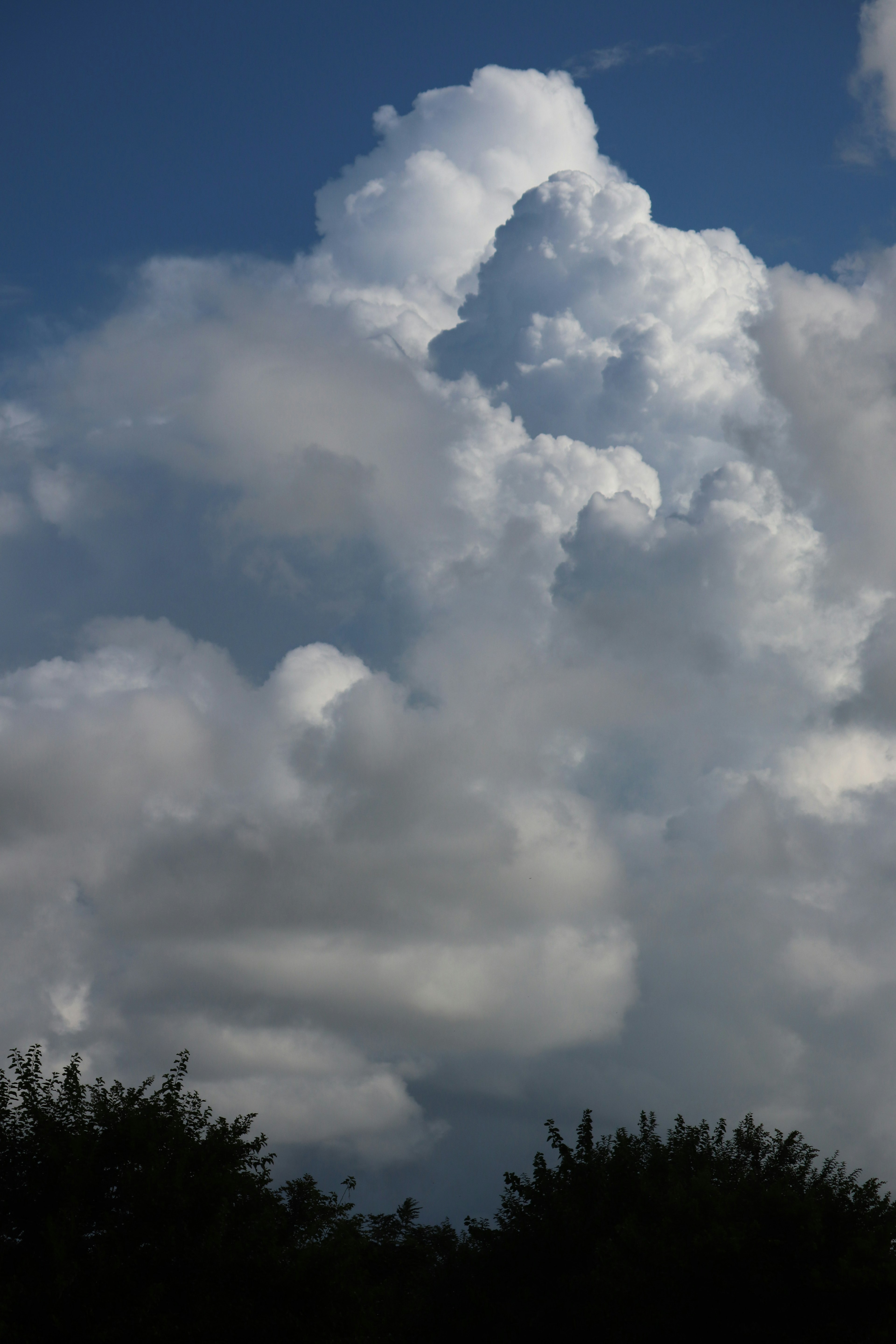 Fluffy white clouds against a blue sky