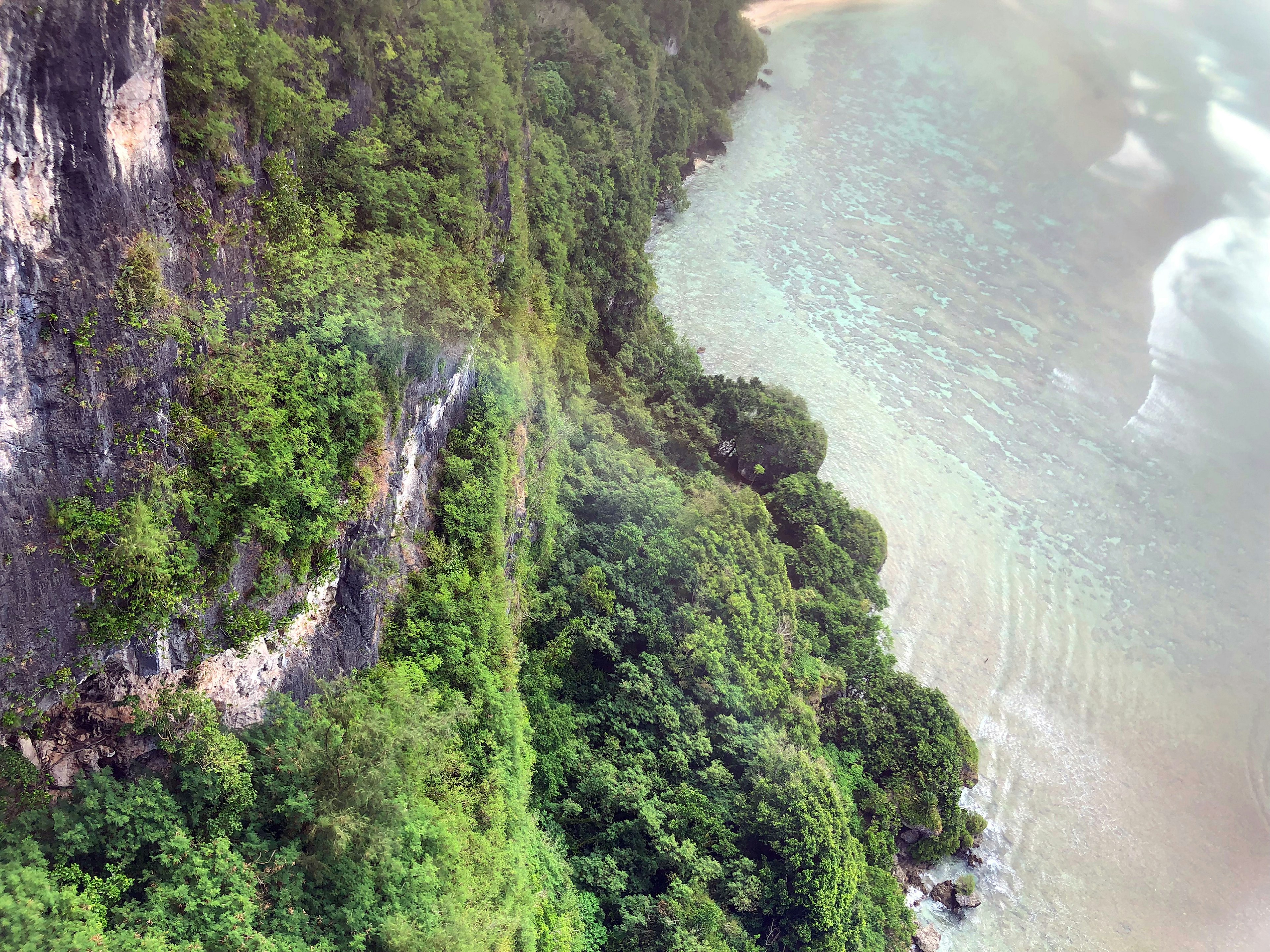 Tebing hijau subur di sepanjang garis pantai dengan air jernih