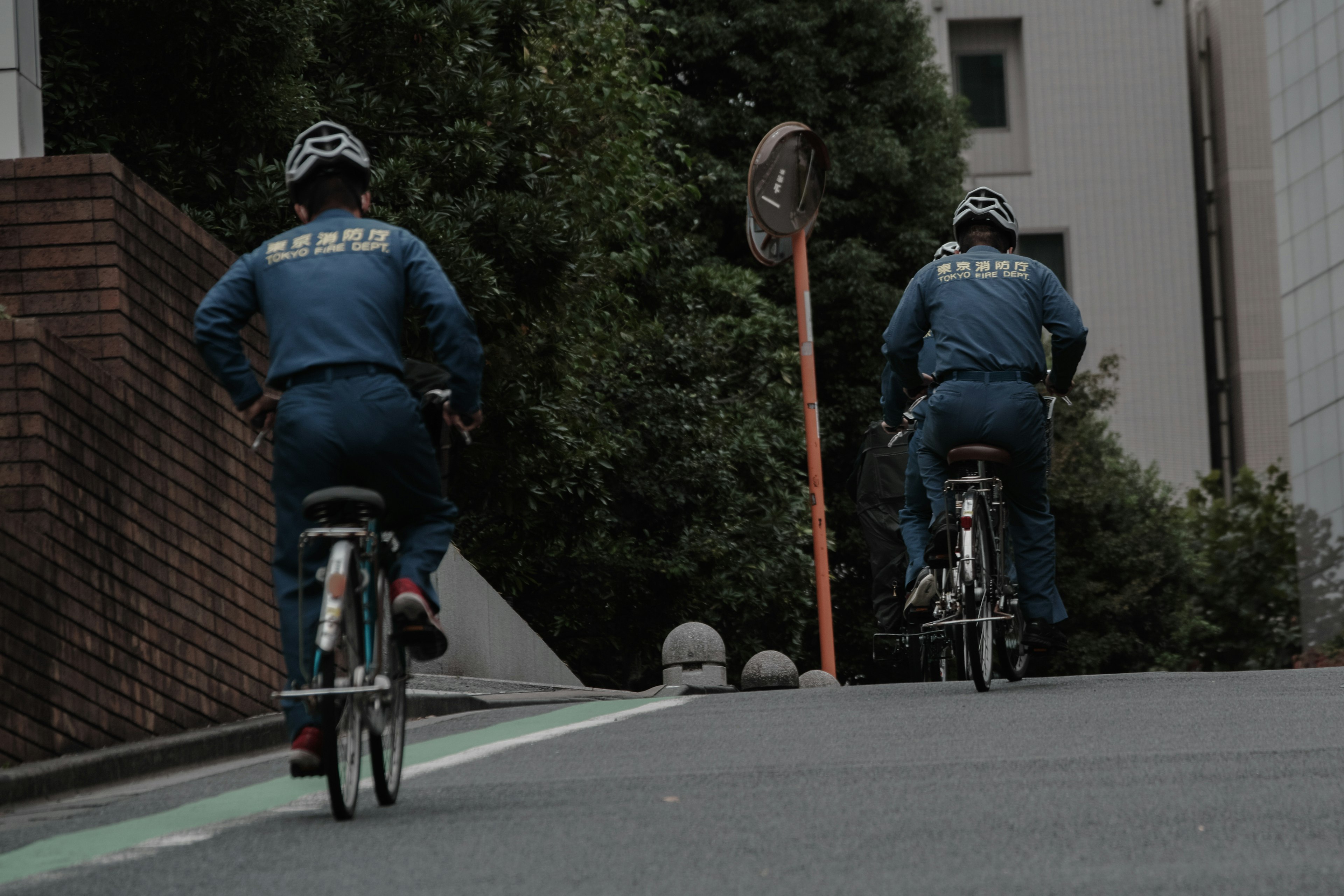 Two cyclists in blue uniforms riding uphill on bicycles