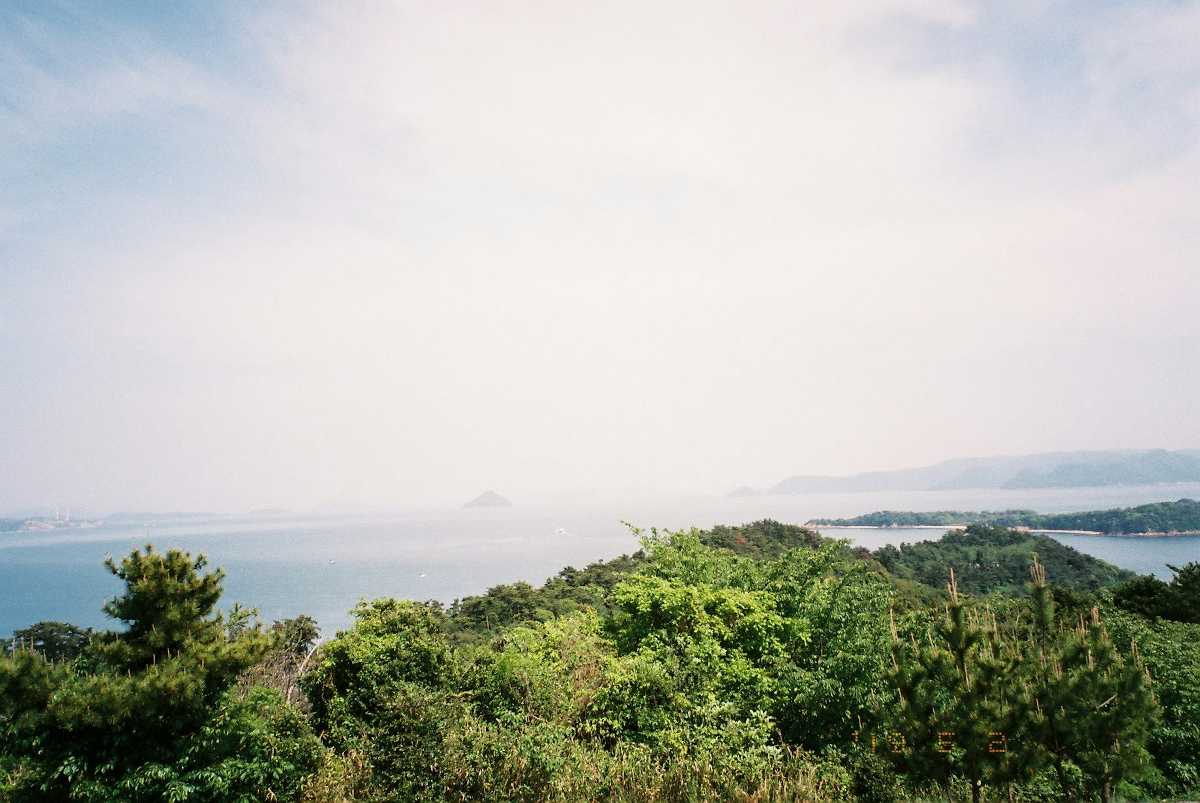 Vue de la mer depuis une colline verte