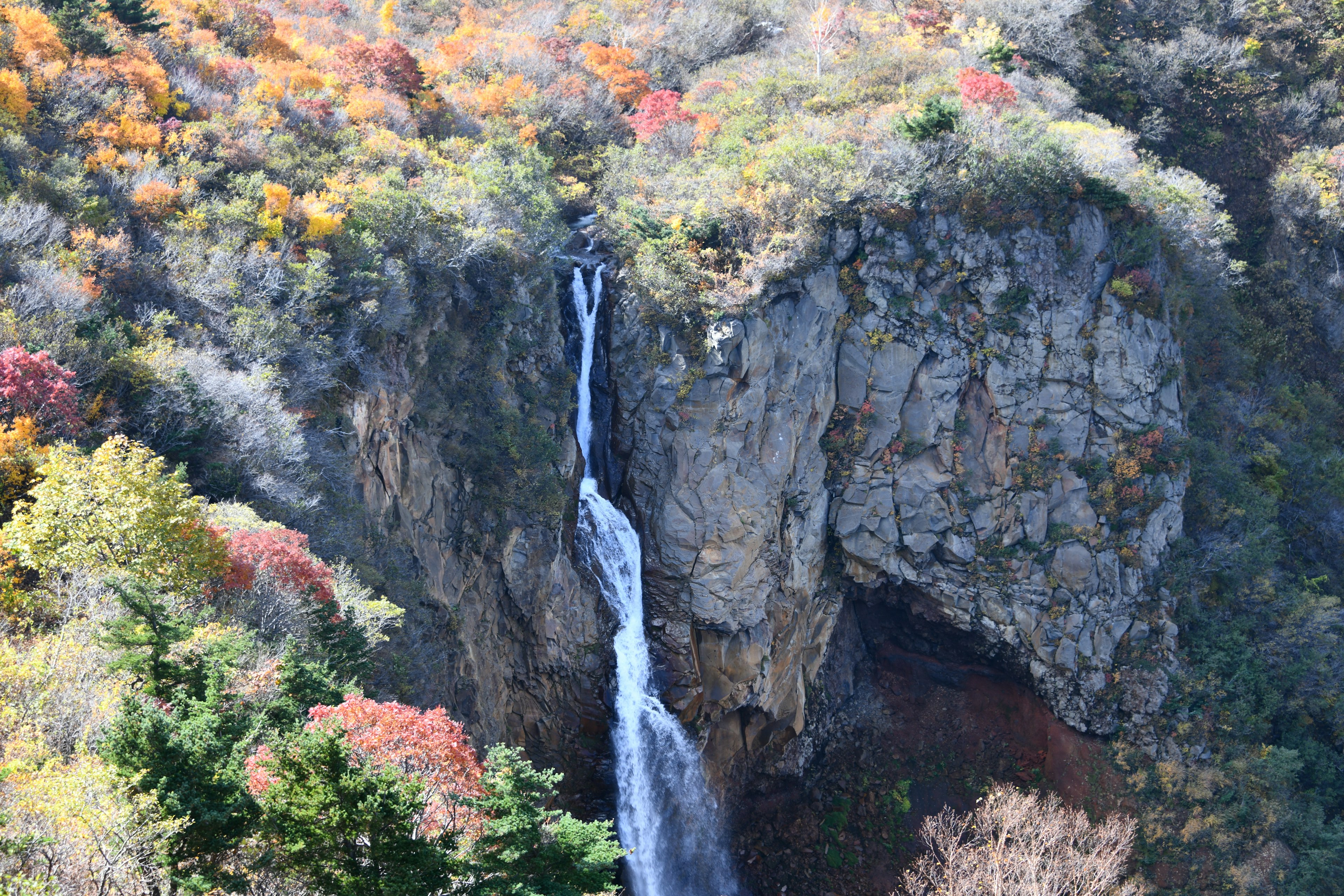 美しい滝と秋の紅葉が見える風景