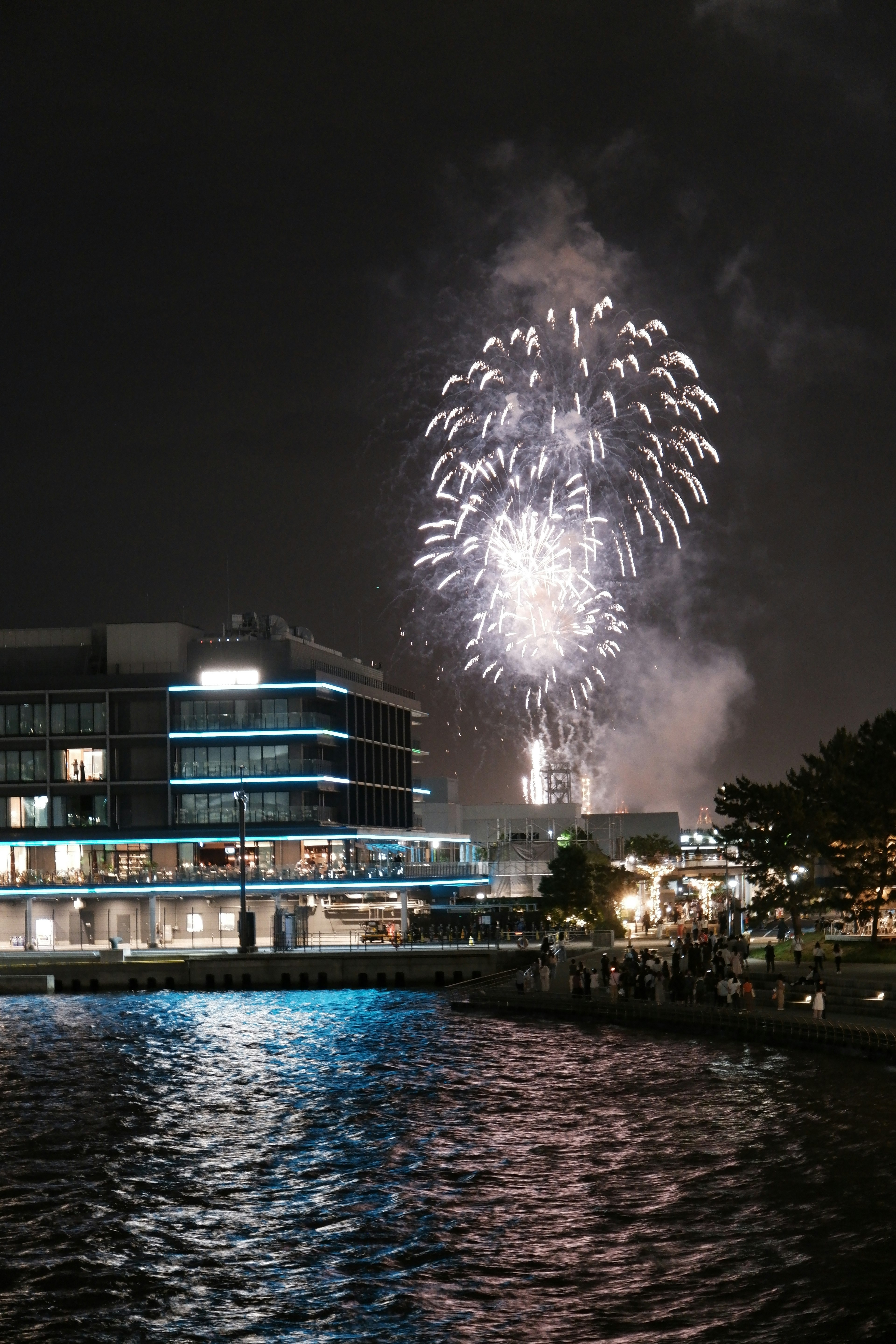 Fuochi d'artificio che illuminano il cielo notturno con riflessi sull'acqua