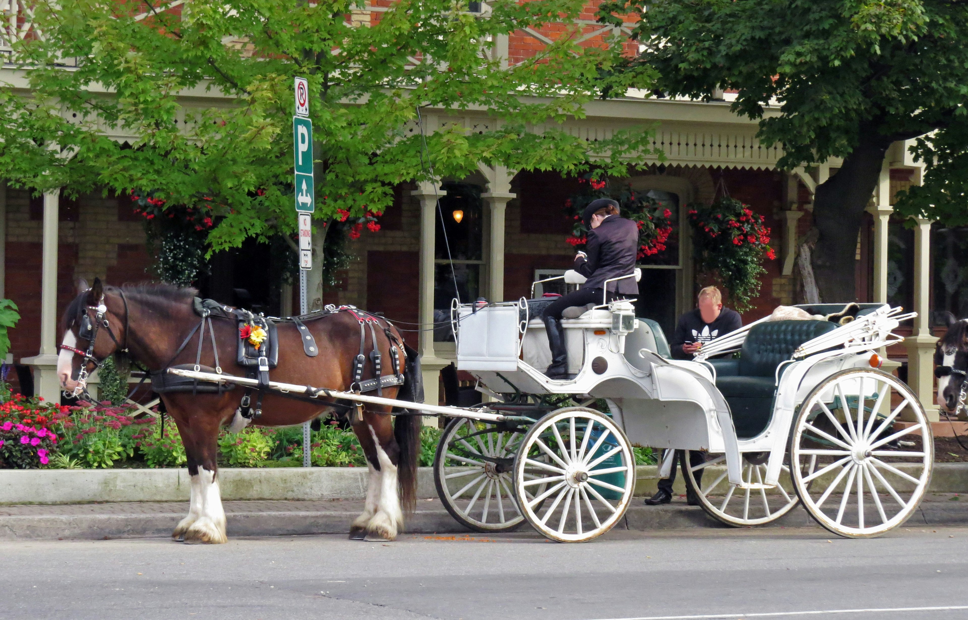 馬車に乗った馬と運転手が街中にいる光景