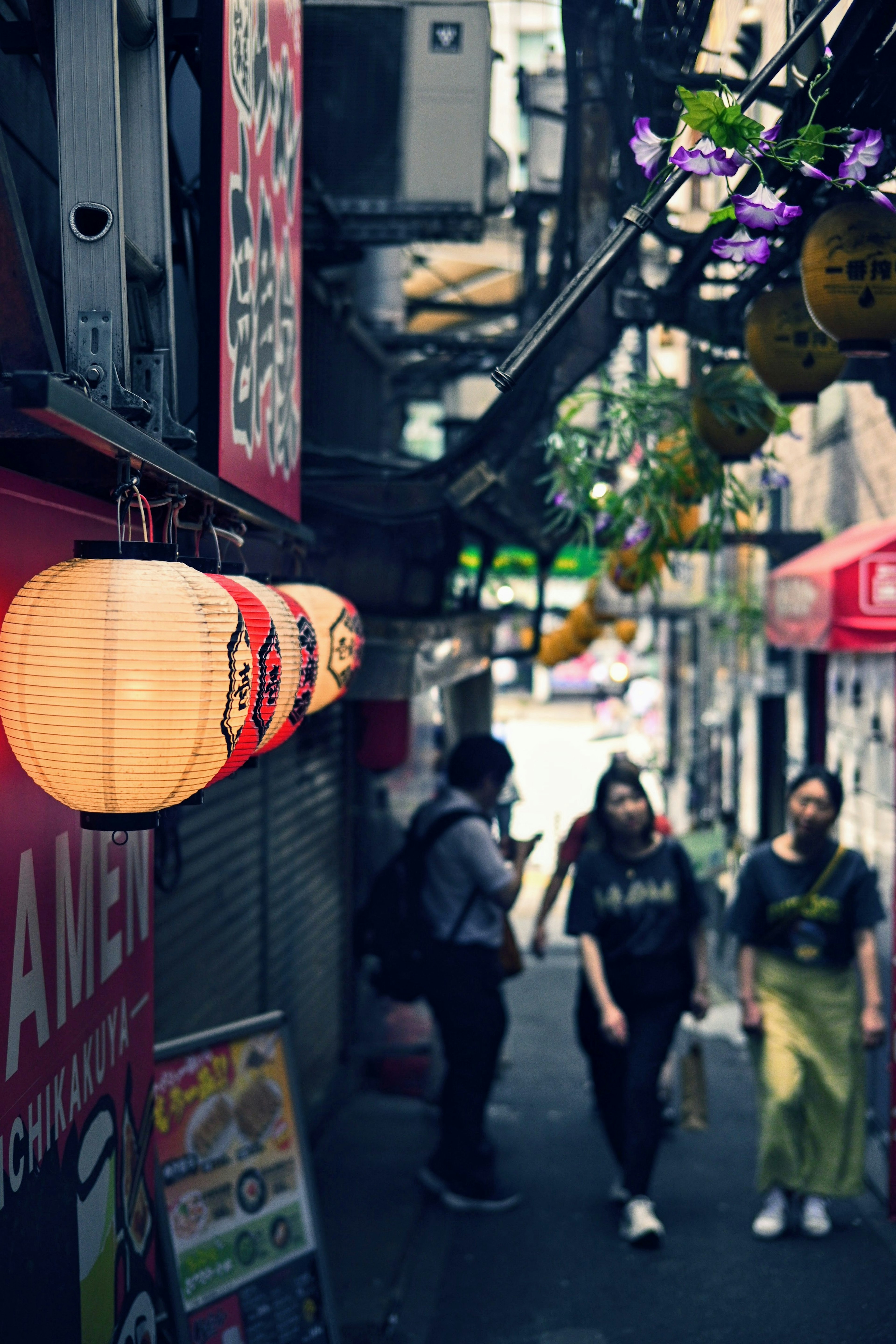 狭い路地に並ぶ提灯と観光客の姿が見える日本の街並み